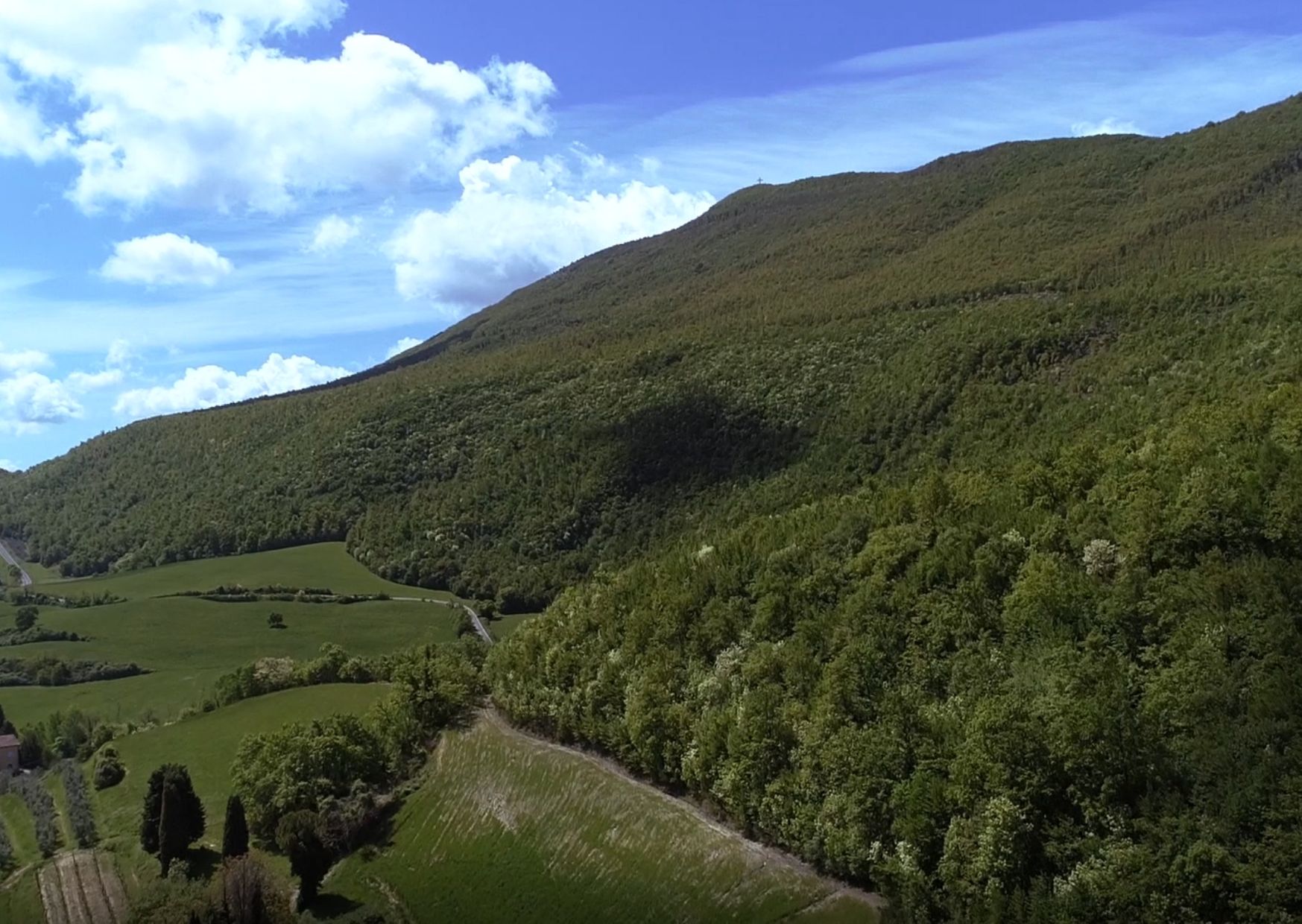 Cetona hills of Belverde