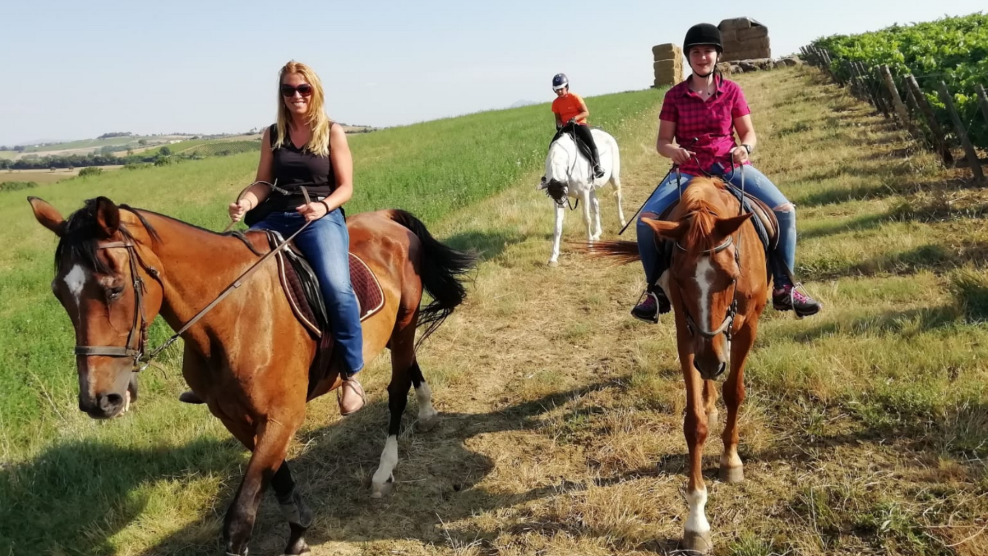 Horseback riding on the hills of Valdichiana with tasting of local wines