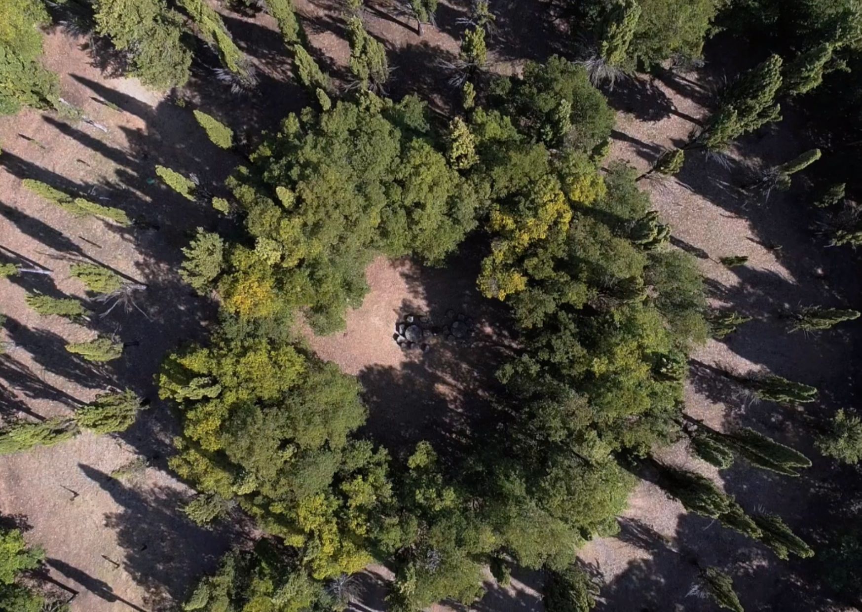 Parque Il Tondo en Montefollonico