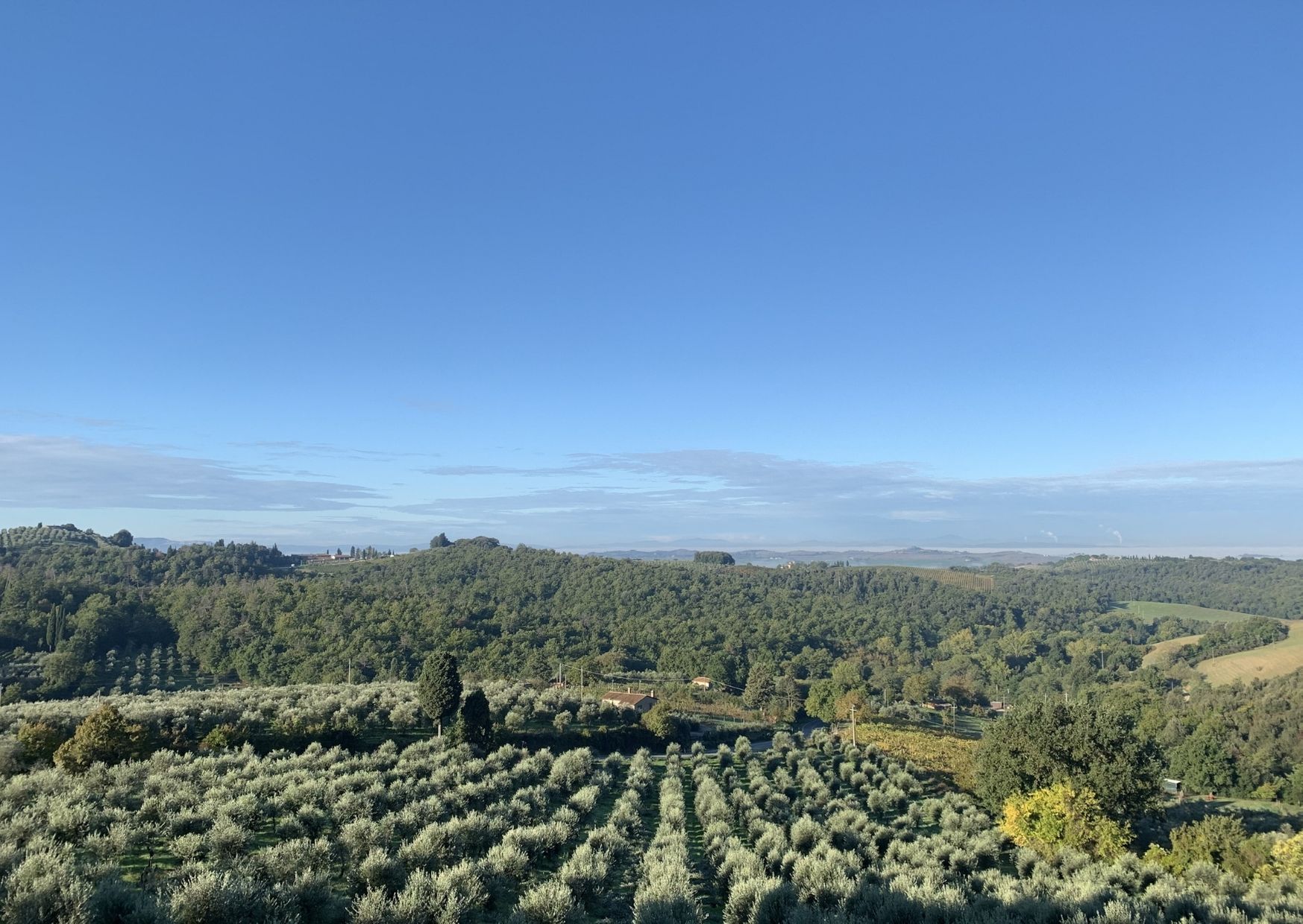 Historic rural landscape in trequanda