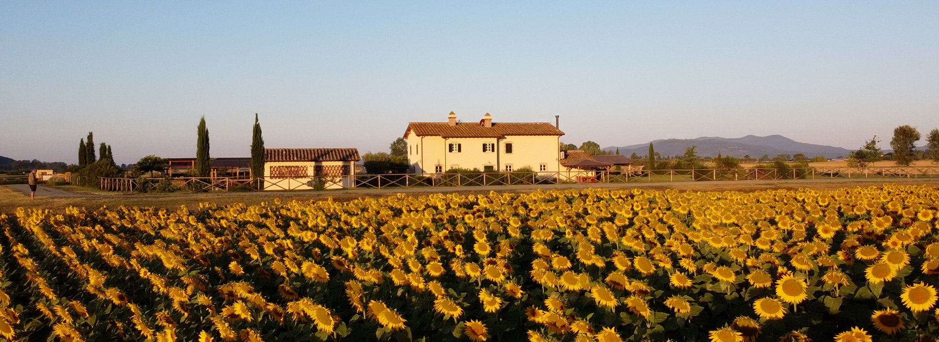 Agriturismo di lusso con piscina privata in Maremma Toscana