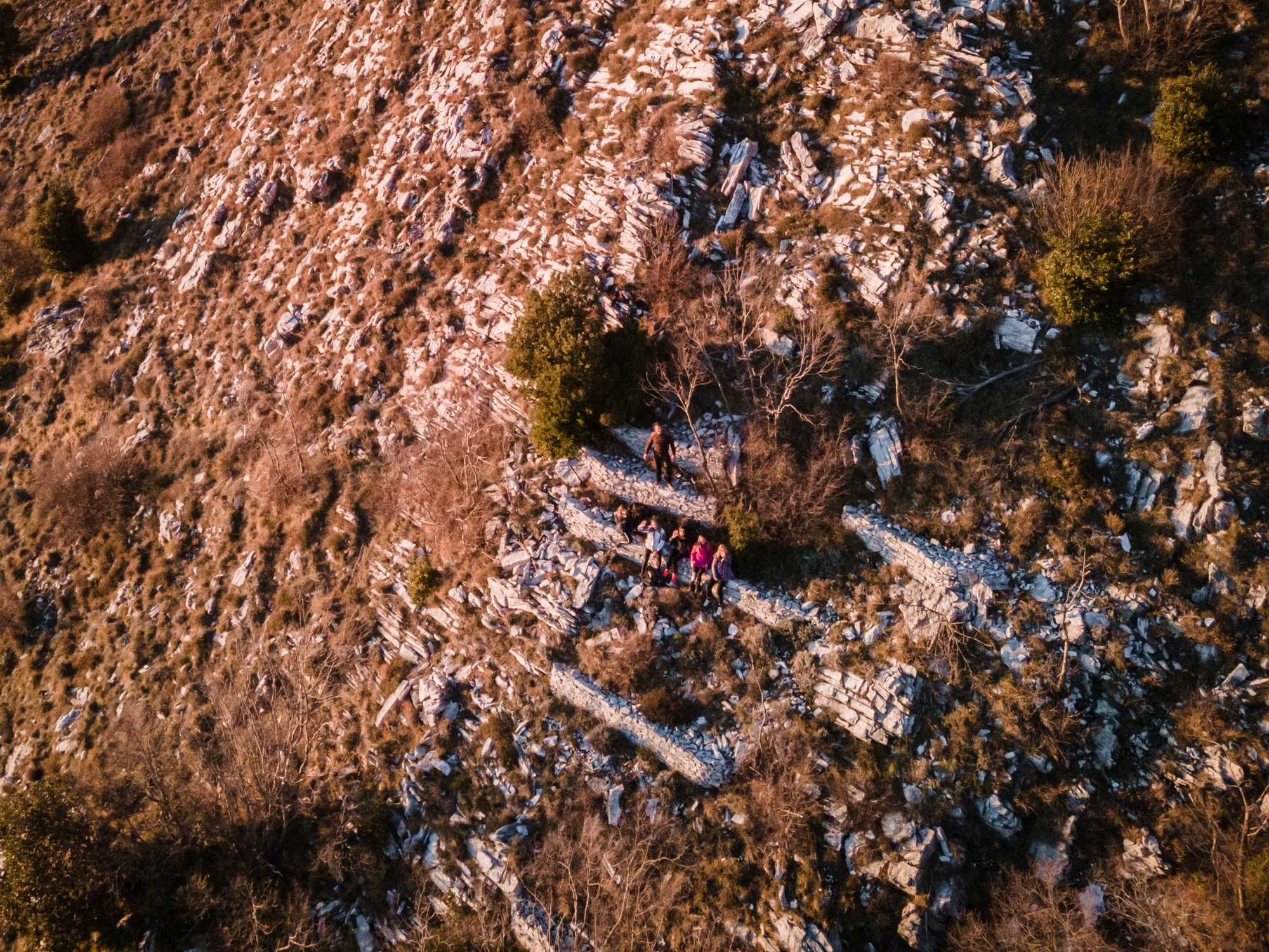 The Botanical Garden of the Apuan Alps  - Riviera Apuana Terra Scolpita