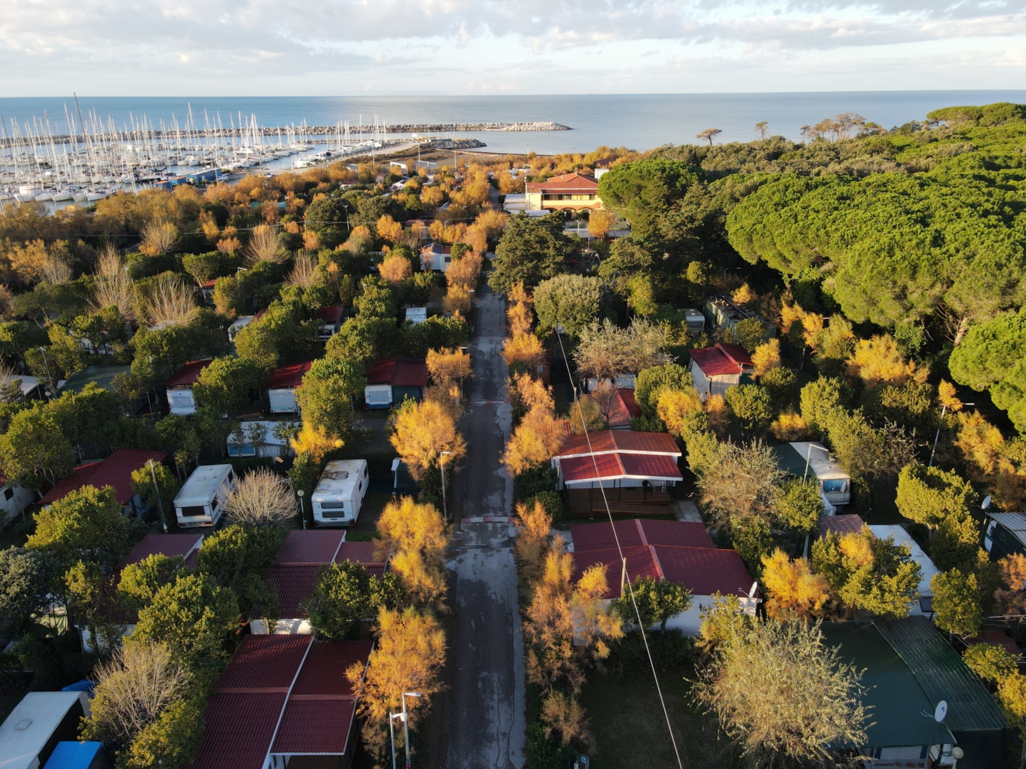 Vista aerea del Camping Bocca di Cecina immerso nella pineta mediterranea vicino al mare e al porto turistico.