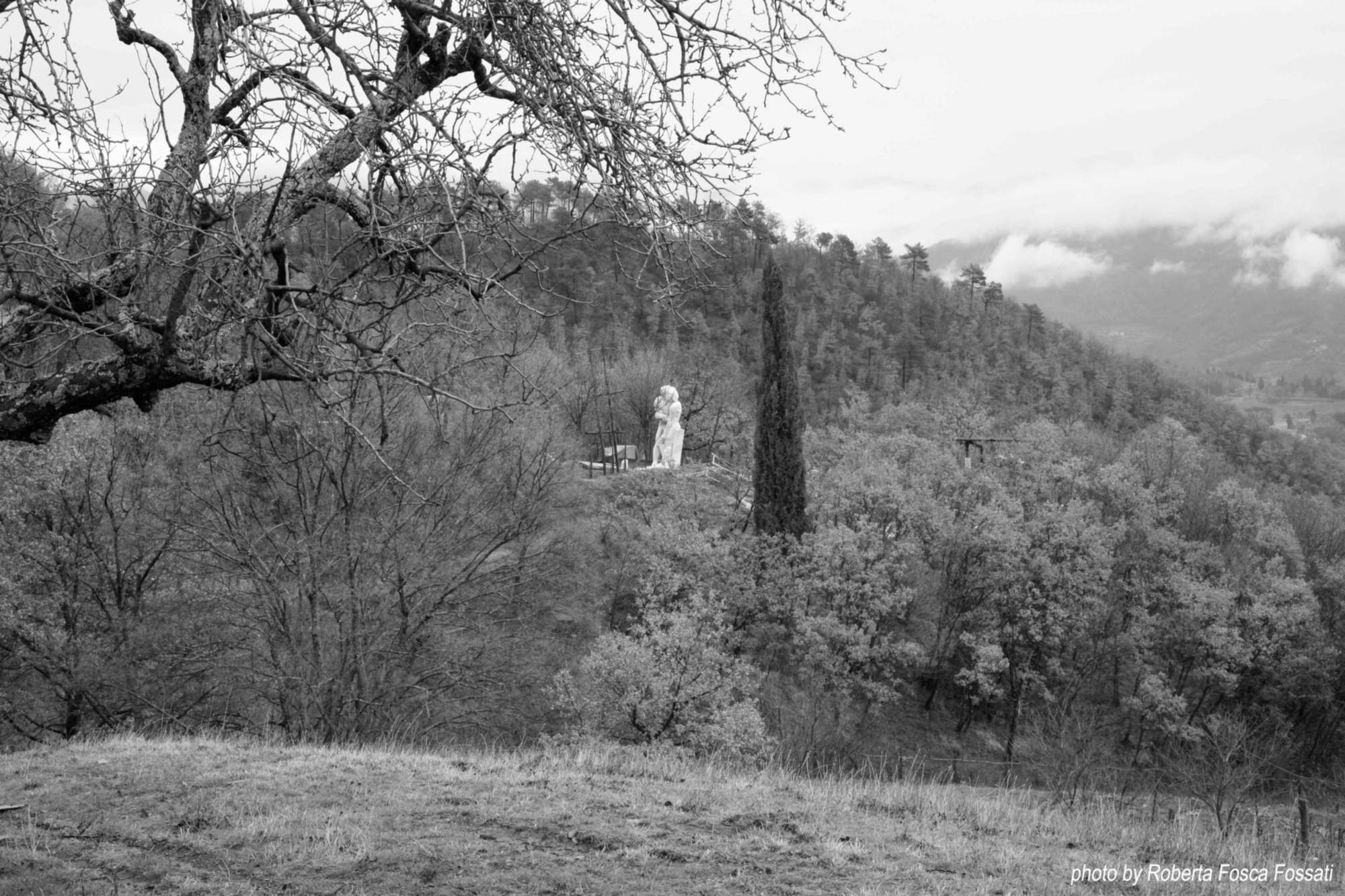 Opera di Filippo Dobrilla