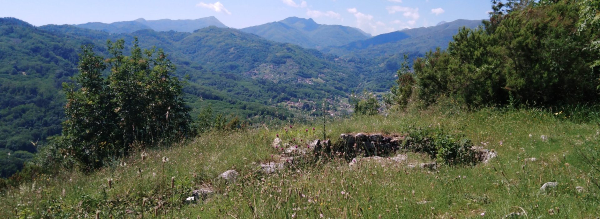 Trekking lungo la Linea Gotica su Monte dell'Elto a Lucca Trekking lungo la Linea Gotica su Monte dell'Elto a Lucca