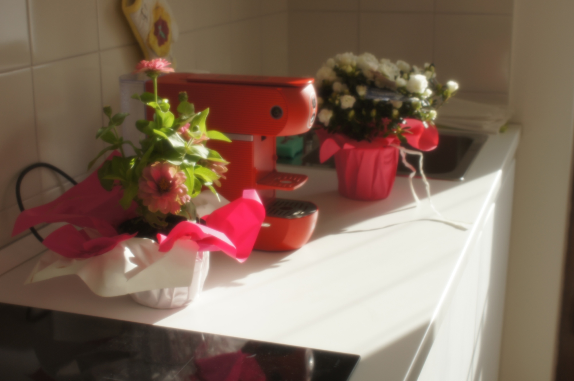 accommodation image