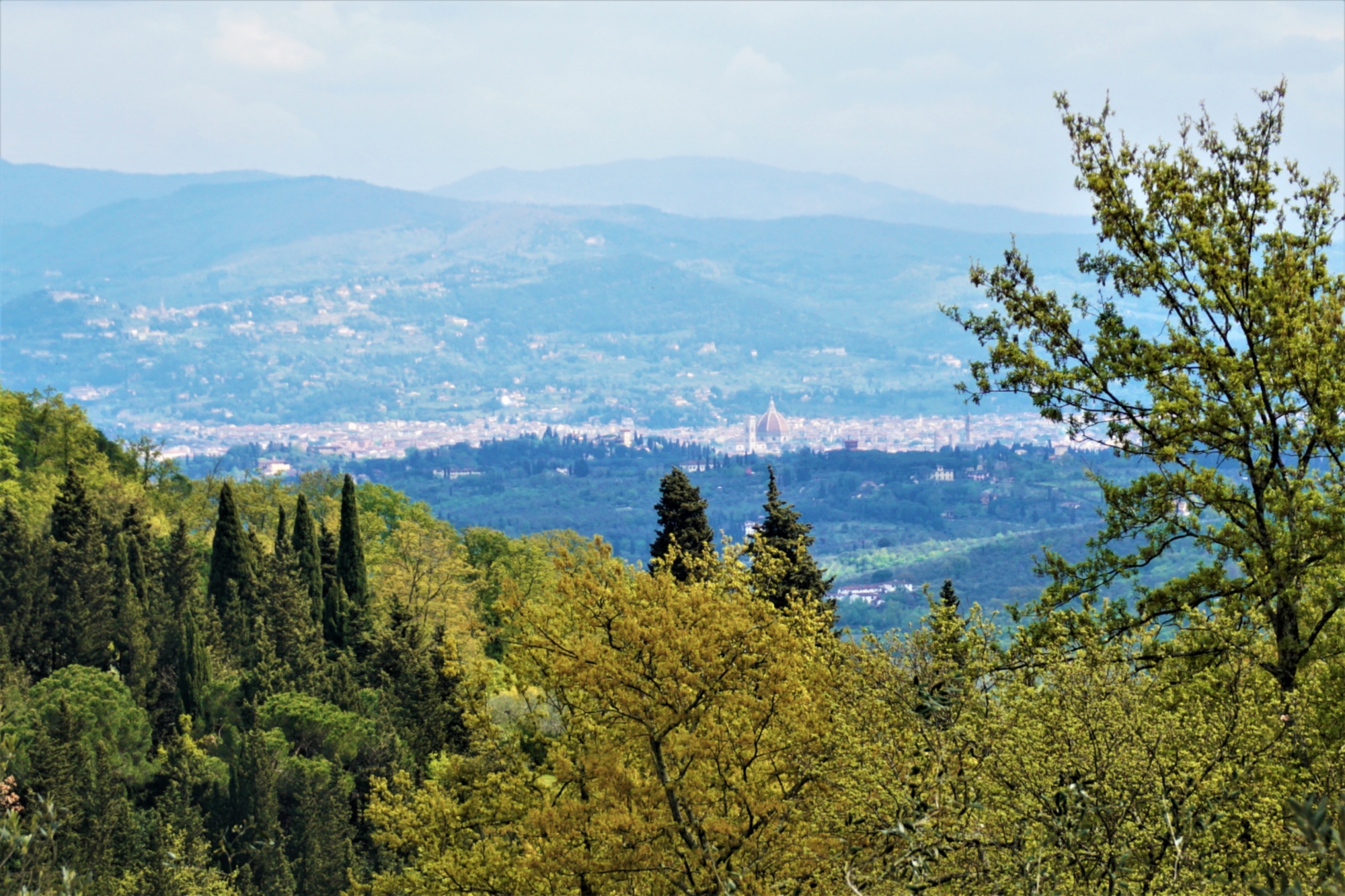colline di Scandicci