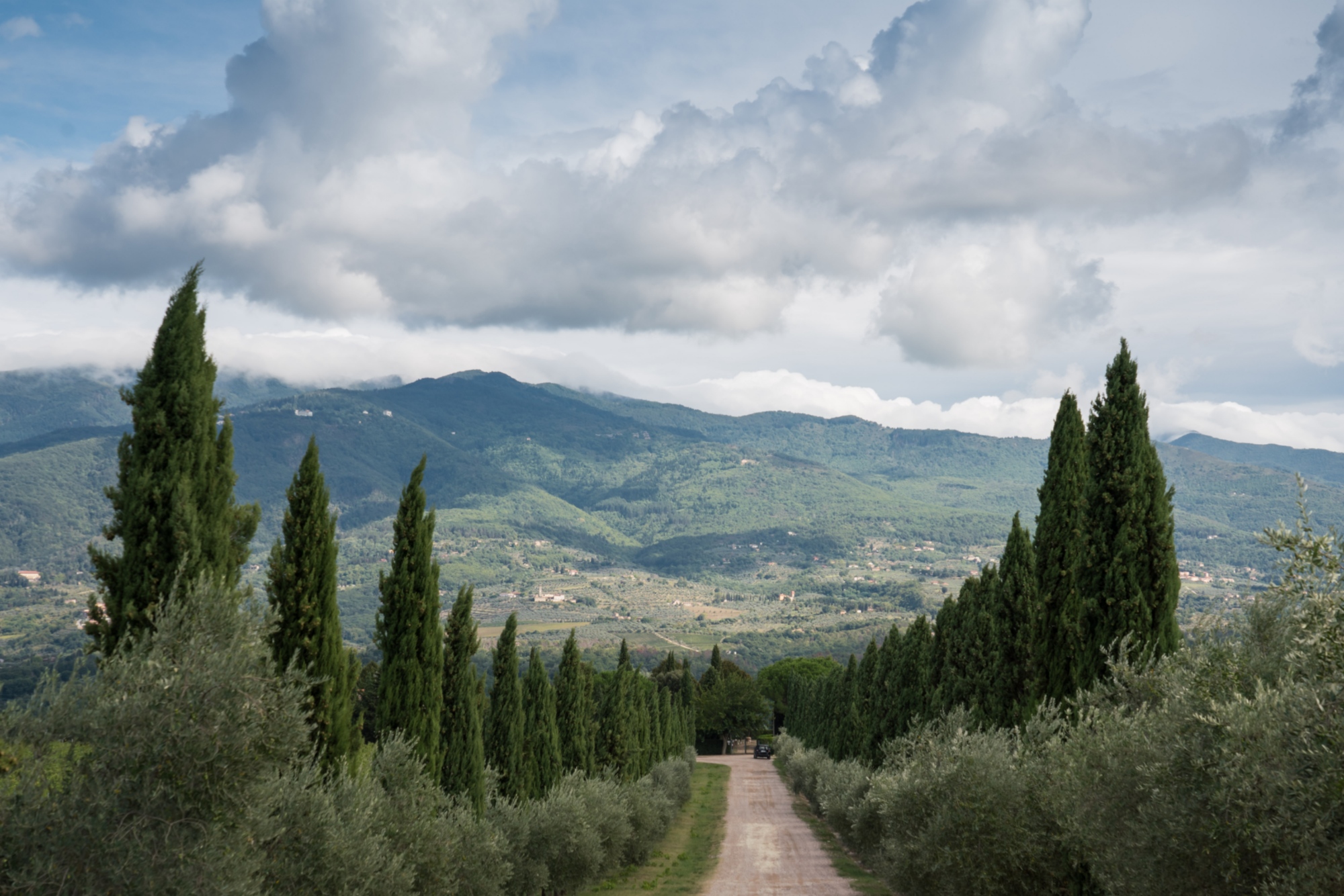View of the Rignano countryside