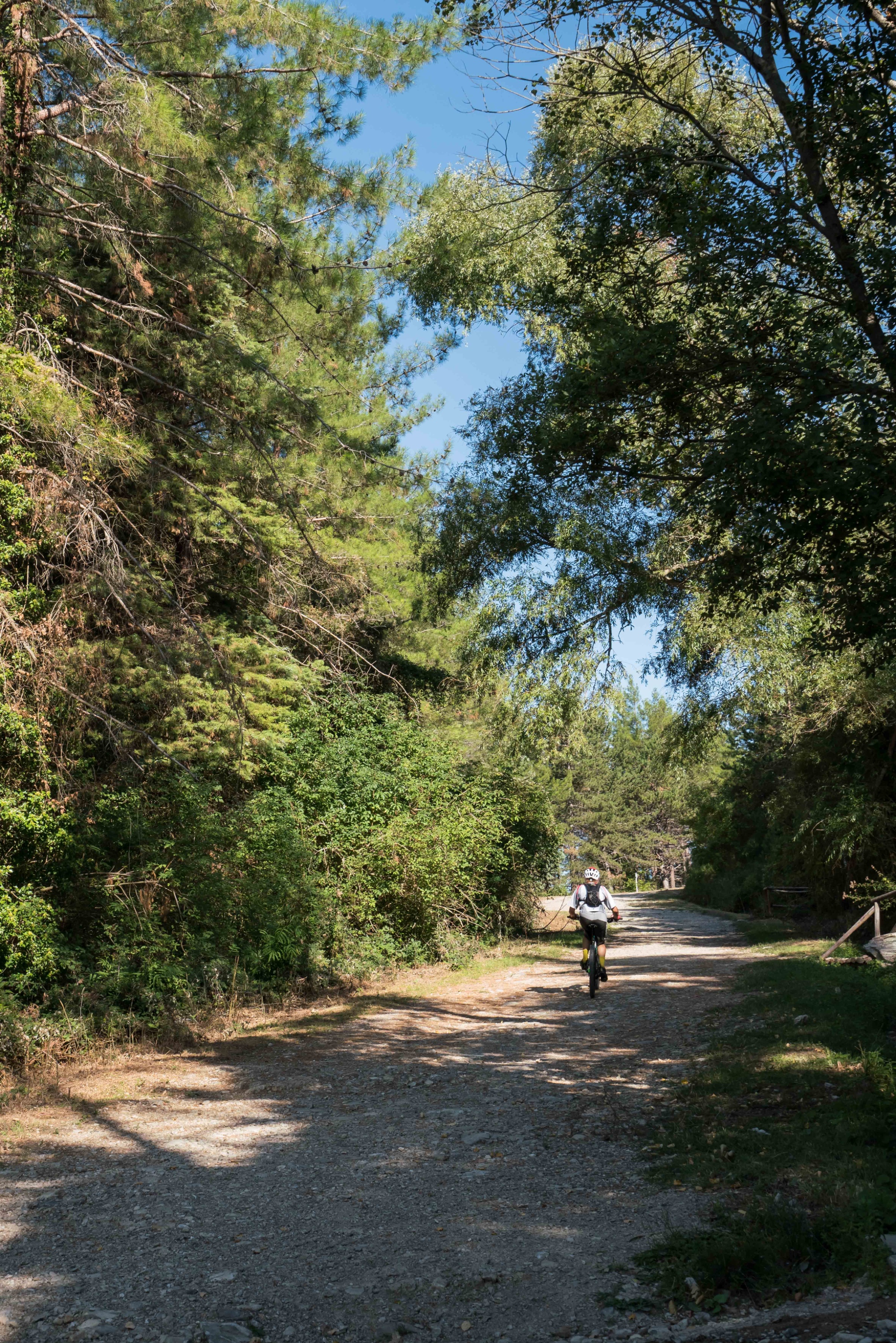 Mountain biking in Monte Morello