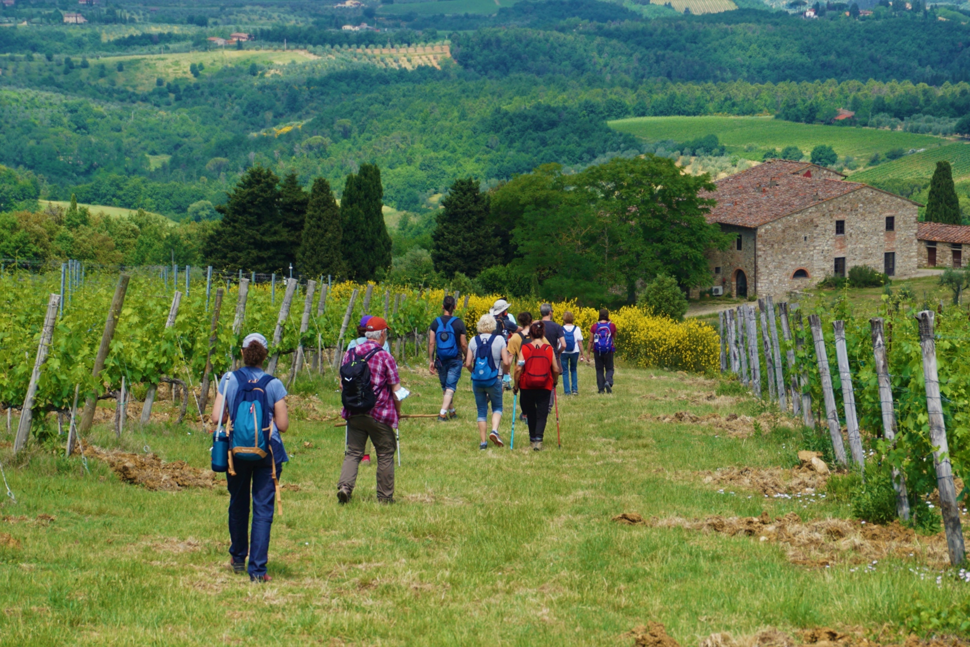 Trekking tra le meraviglie del Chianti Fiorentino
