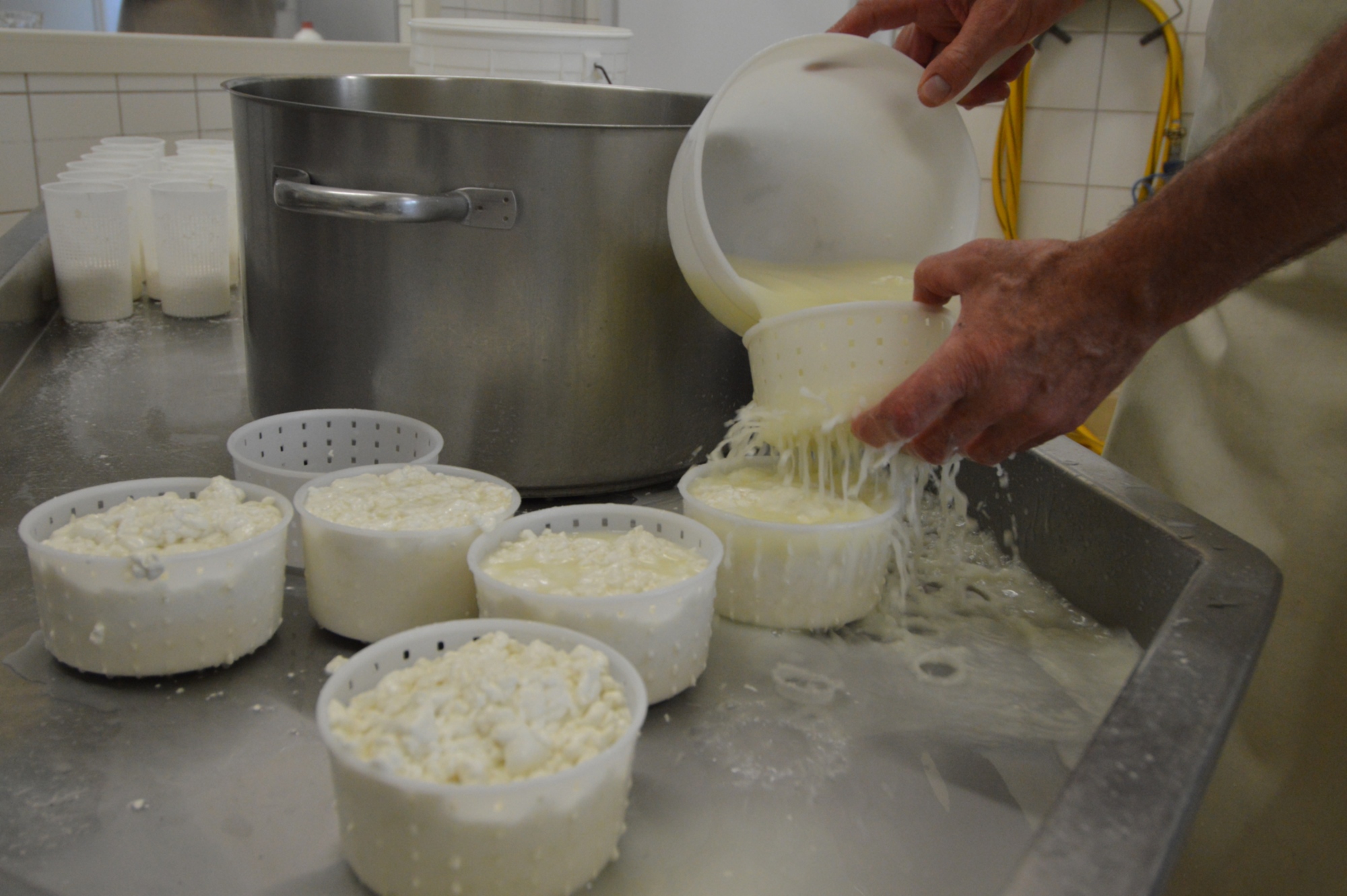 Cheese Making in a Farmhouse around Pienza