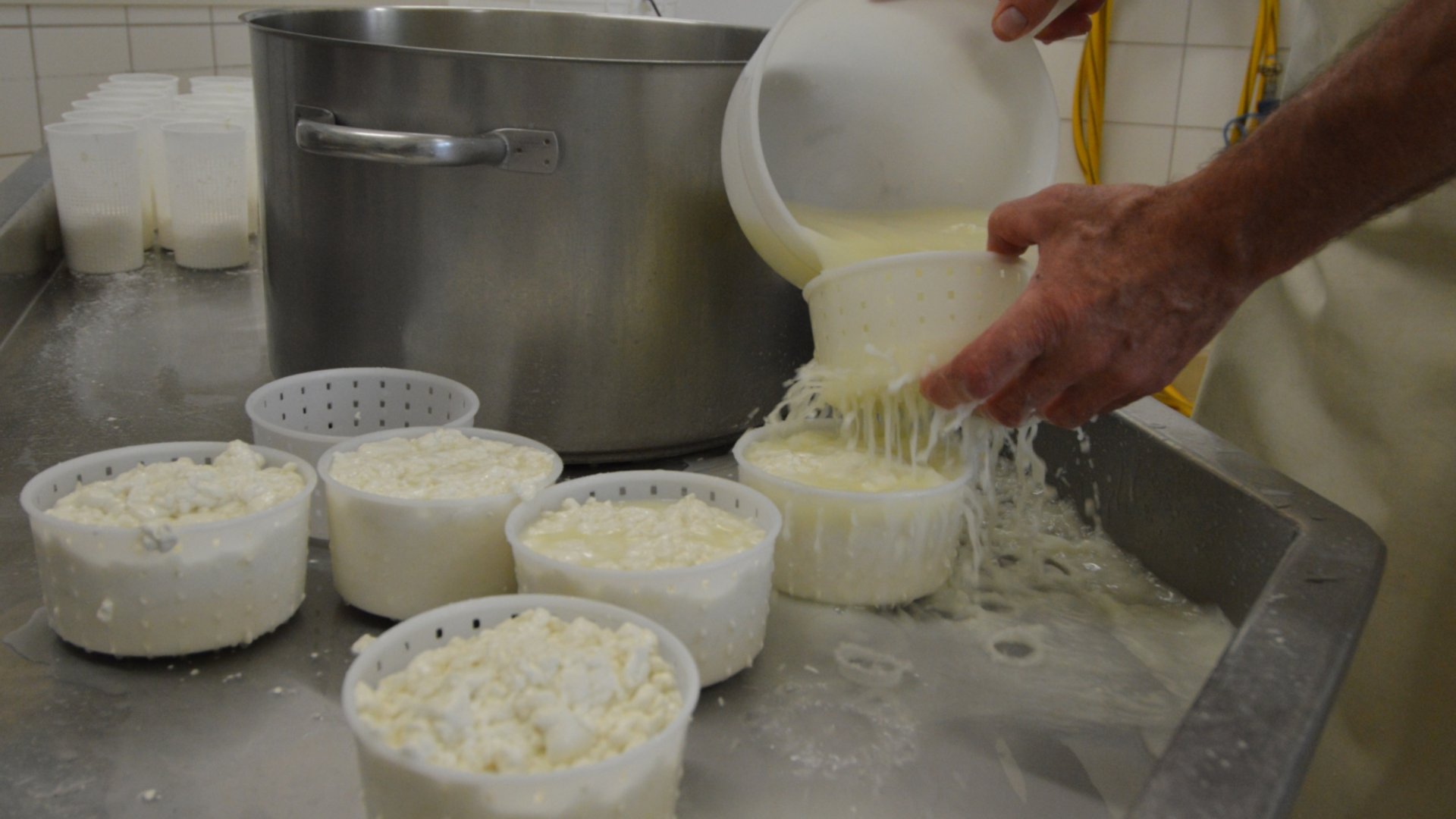 Cheese Making in a Farmhouse around Pienza