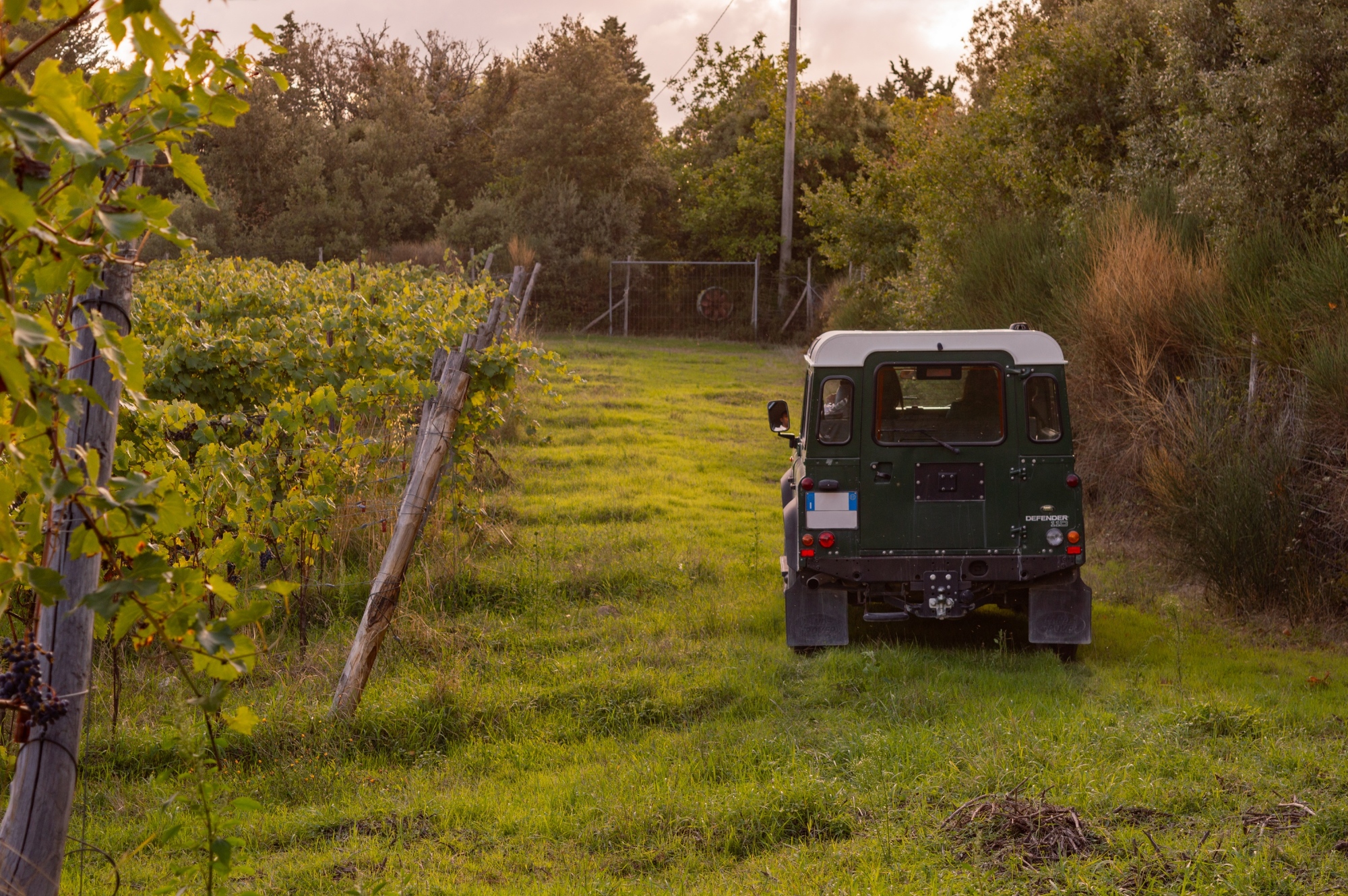 Off road wine tour nel Chianti