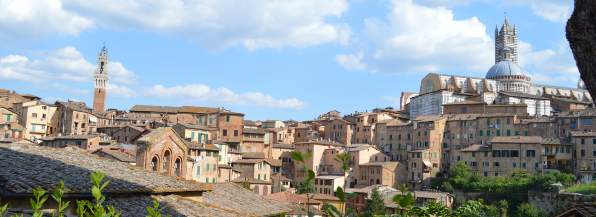 Siena Siena