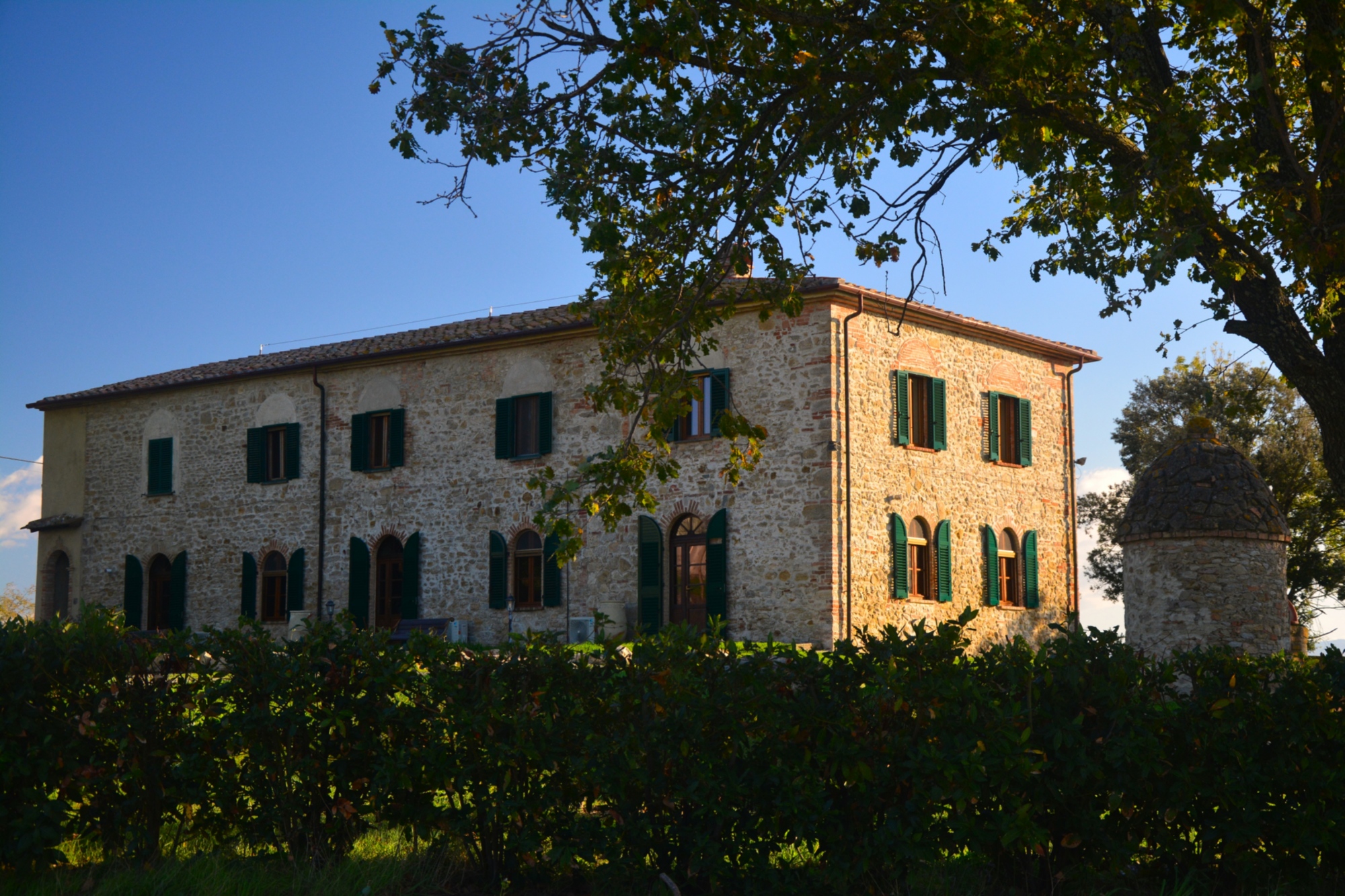The image shows a large and typical two-story Tuscan farmhouse in exposed stone, illuminated by the warm sunlight. The building features numerous windows and arched doors on the ground floor, all equipped with dark green wooden shutters.  The property is partially hidden in the foreground by a thick green hedge and framed by the branches of a tree on the right, next to which stands a characteristic small tower or ancient stone well with a conical dome. In the background, a clear blue sky stands out.