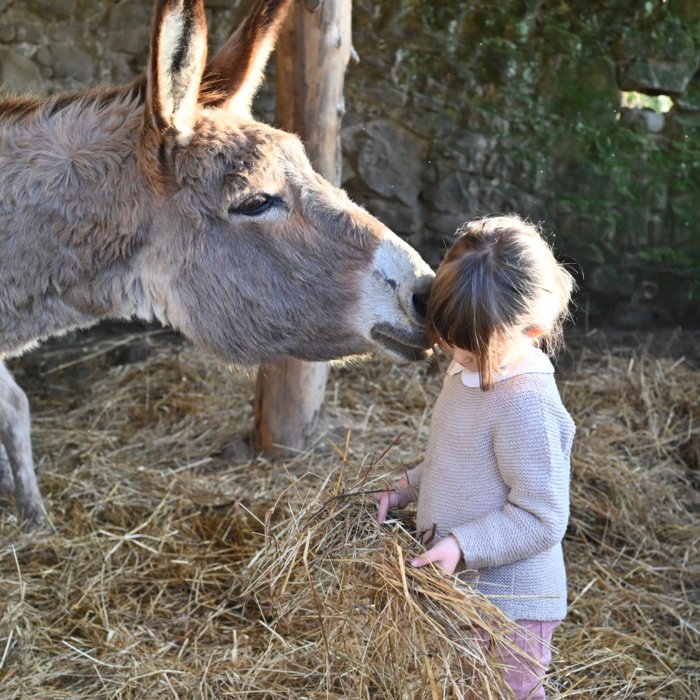 Bambina accanto a un asinello alla Fattoria di Maiano