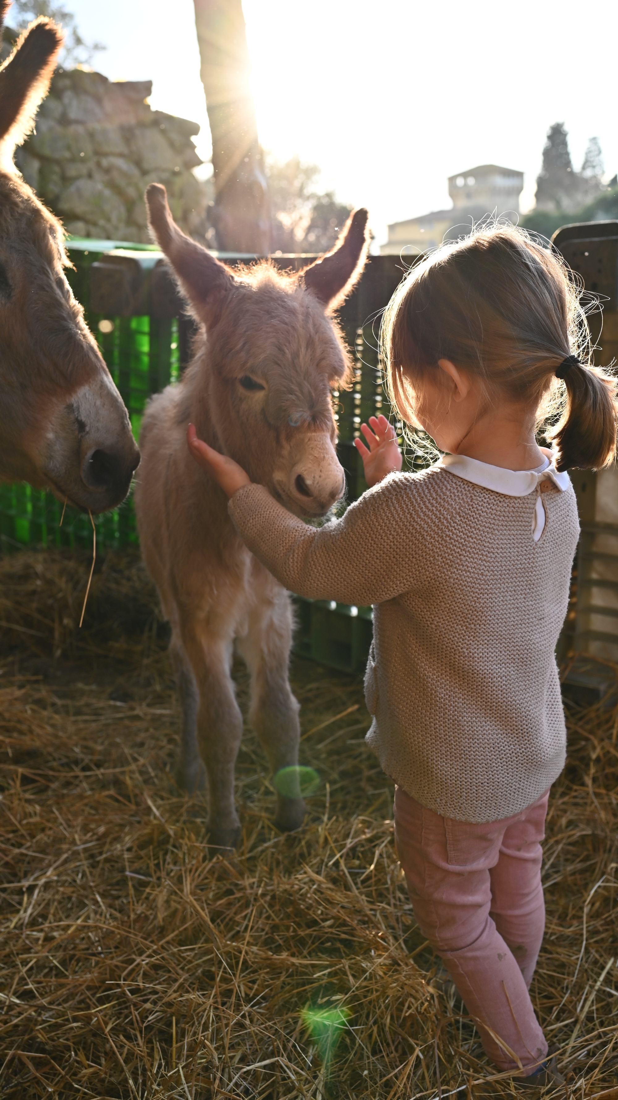 Fattoria di Maiano a Fiesole esperienze con bambini a Firenze