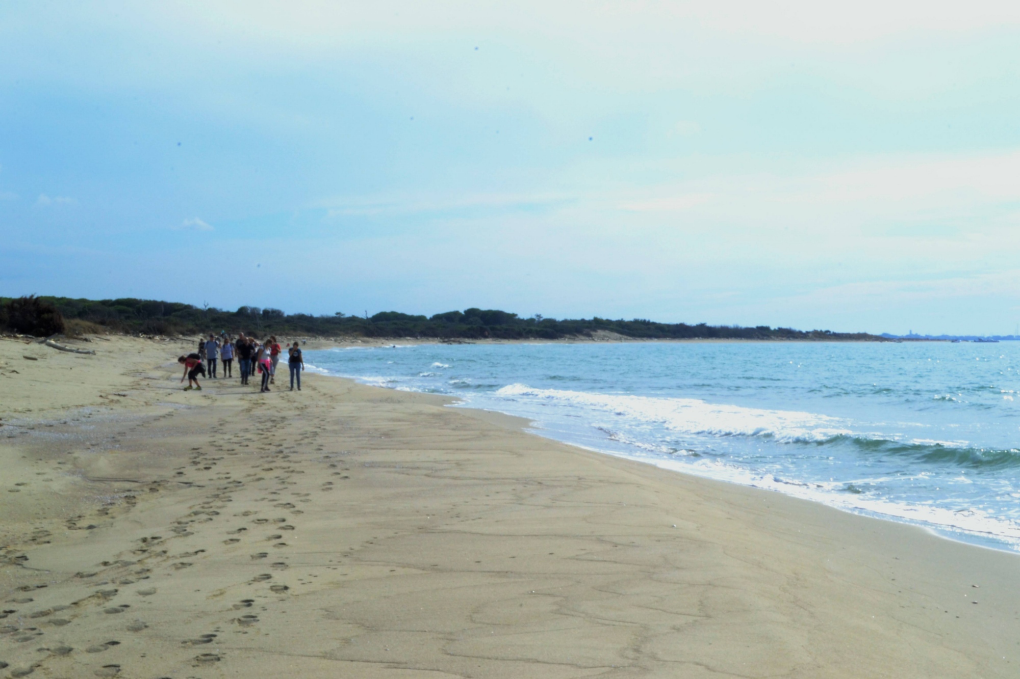 Spiaggia incontaminata del Gombo con gruppo di visitatori, dune e mare aperto del Parco di San Rossore
