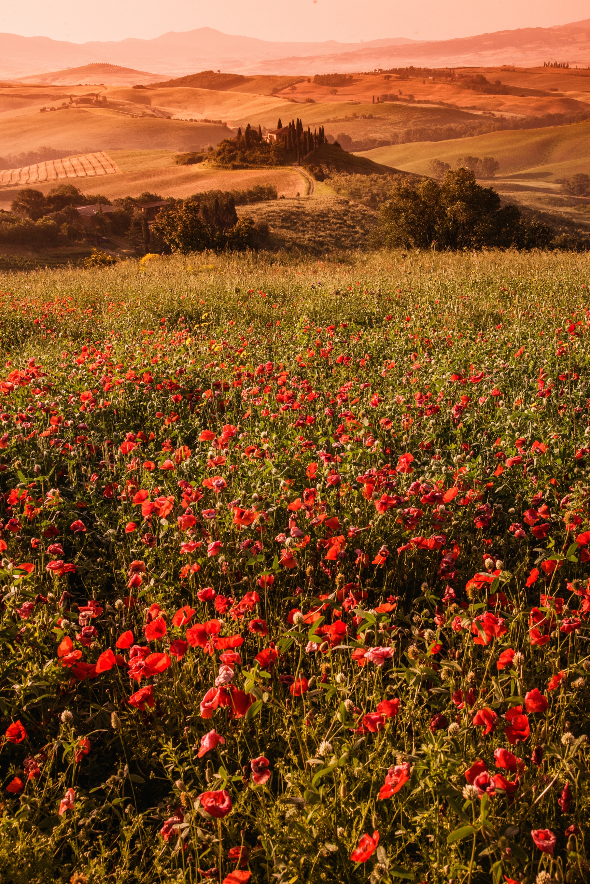 Valdorcia Landscape