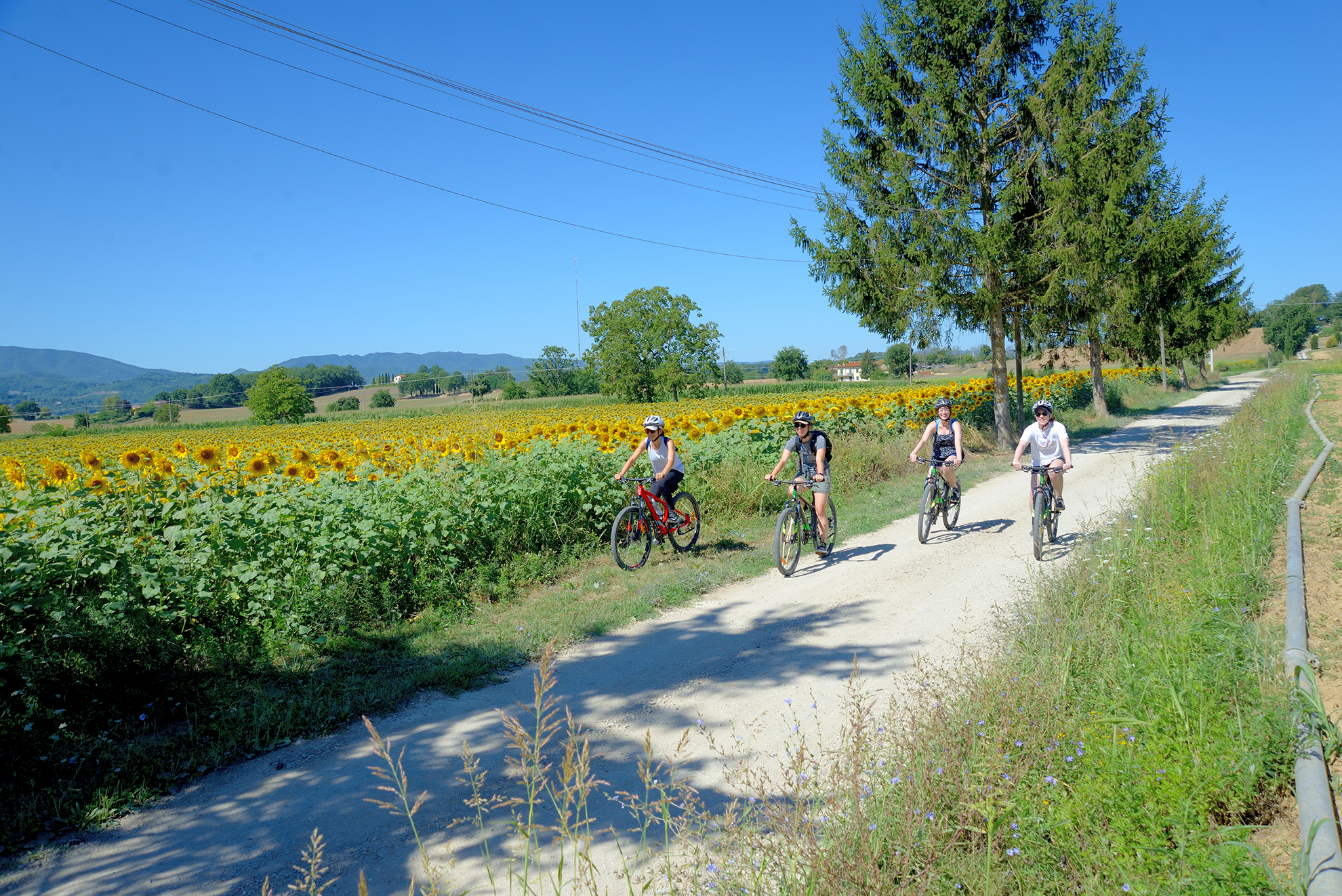 Bike tour on the country roads of Mugello