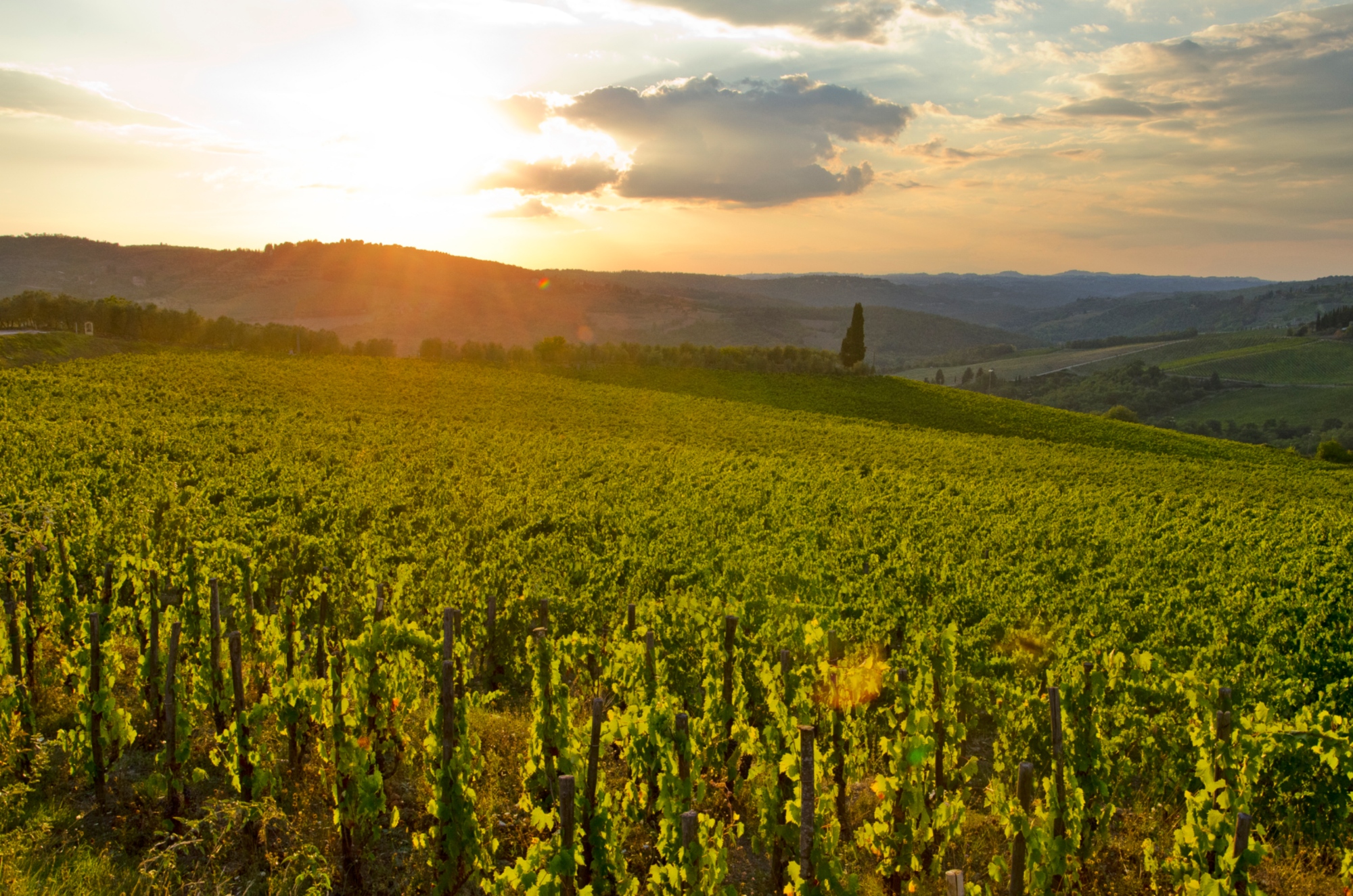 Paesaggio Chianti