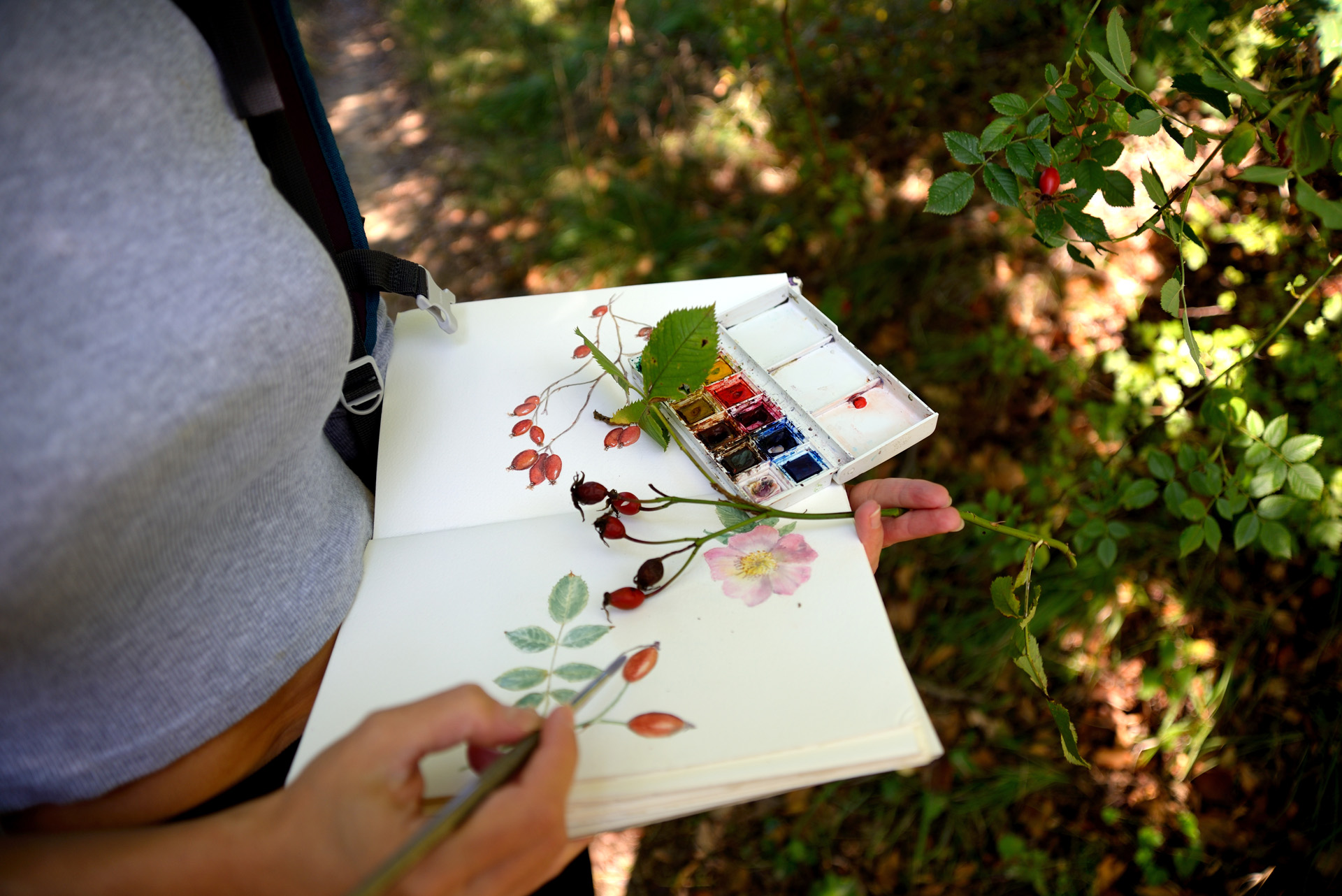 Un'esperienza esclusiva di trekking e disegno nel cuore del Mugello