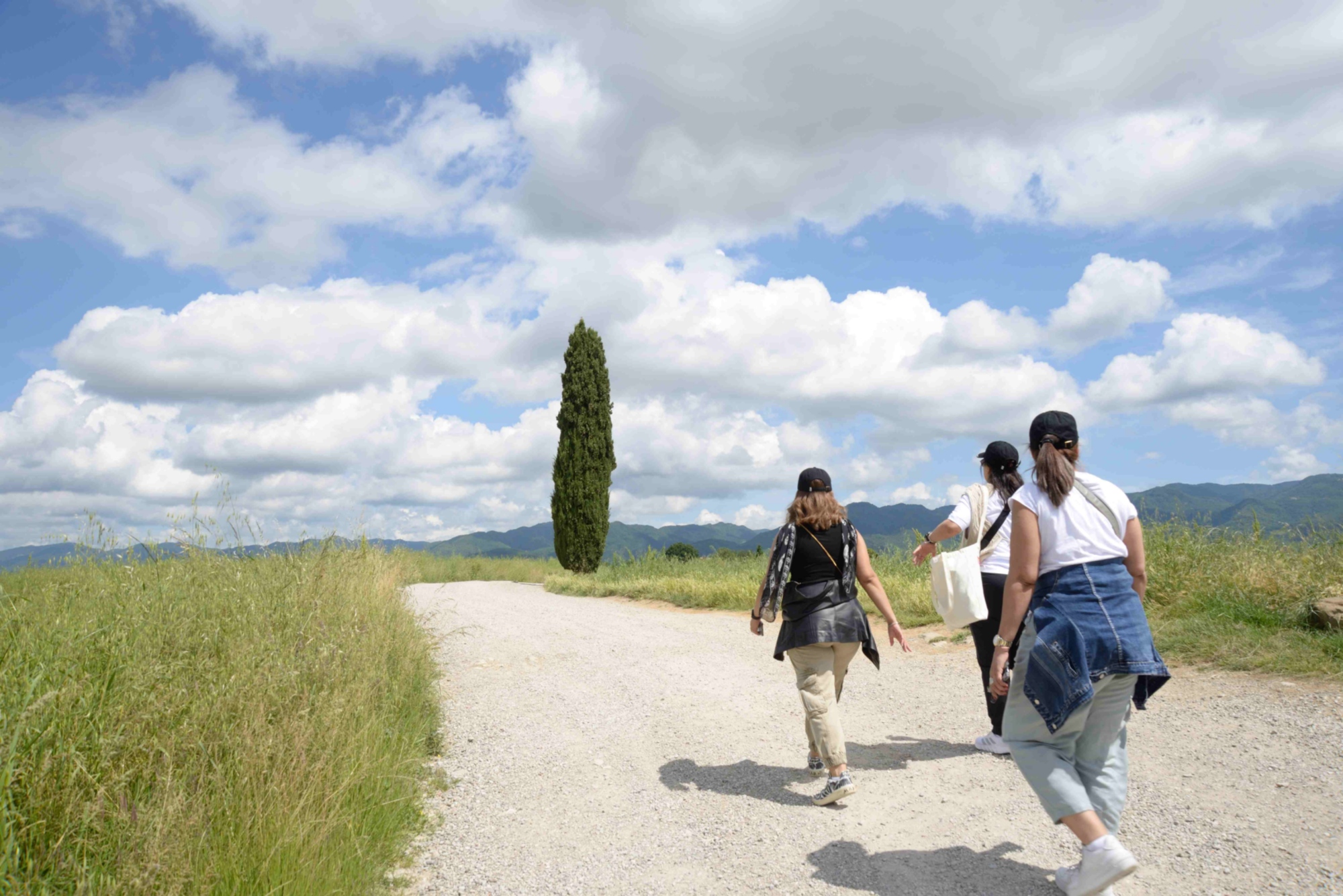 Hike & wine tour in Mugello