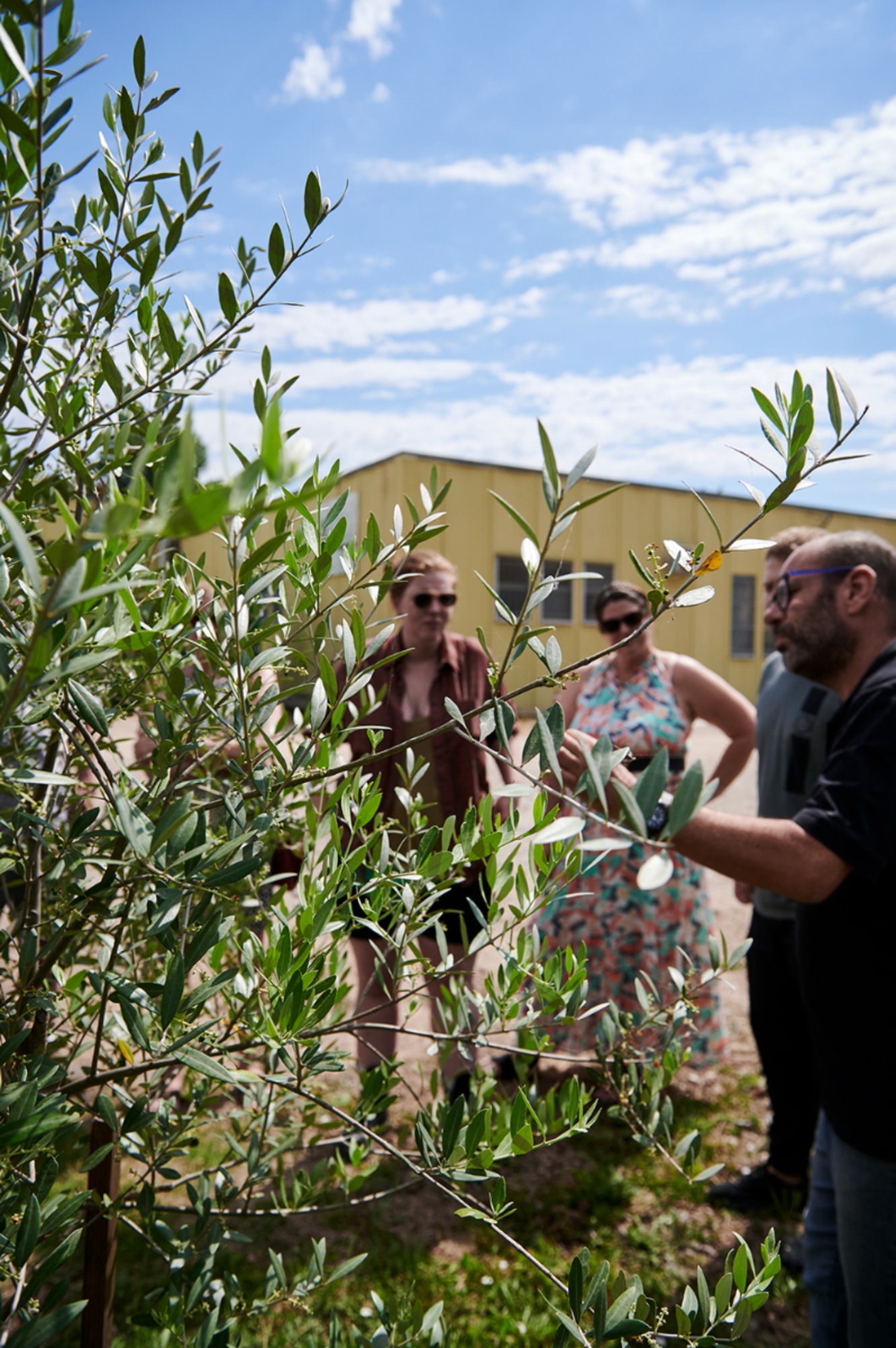 Visita in frantoio e degustazione olio extravergine del frantoio del Grevepesa