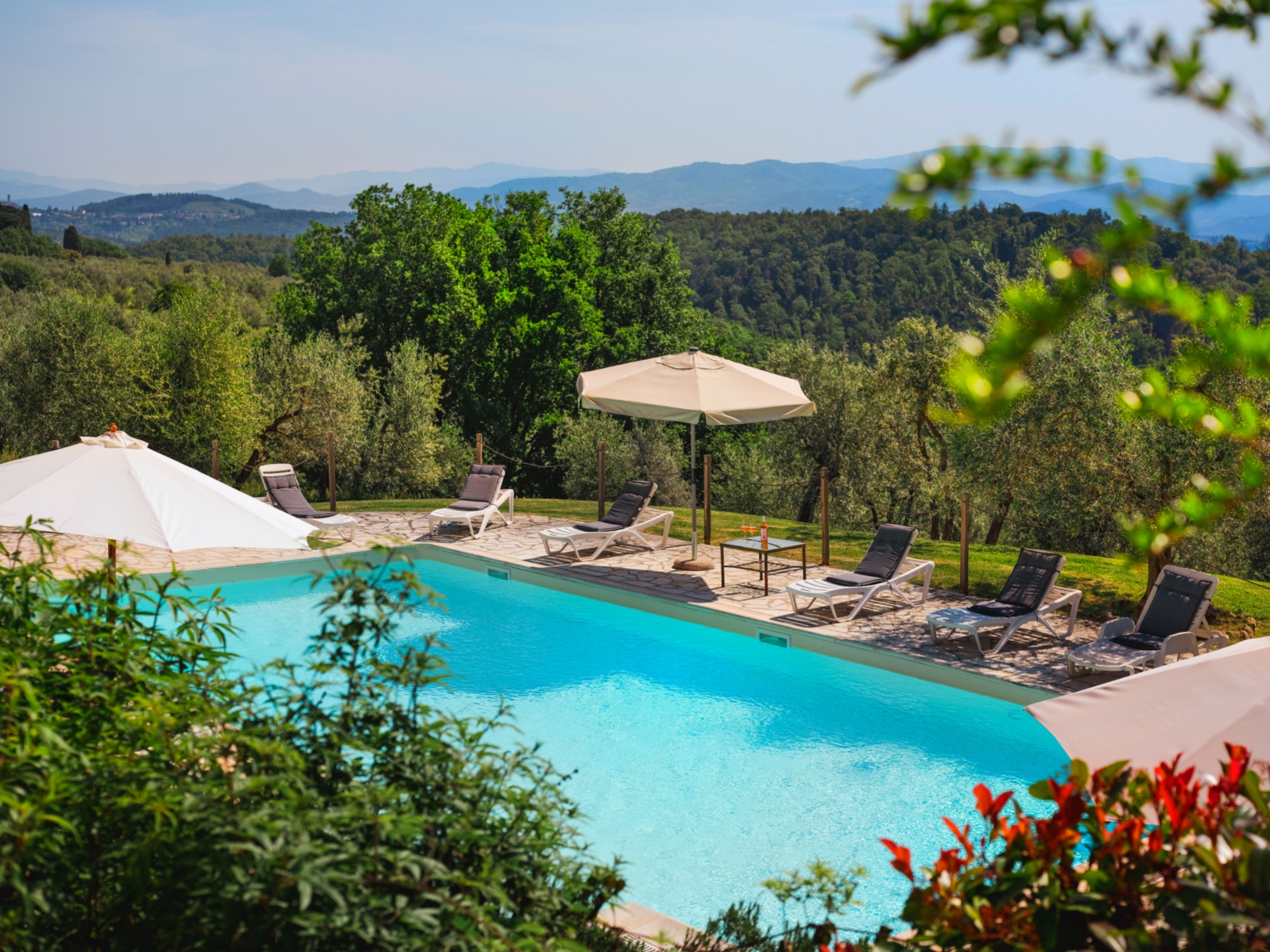 The swimming pool surrounded by greenery seen from above