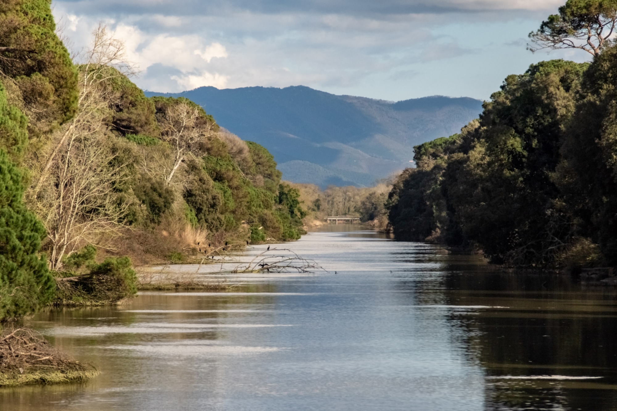 Trekking nella tenuta di San Rossore fino al mare