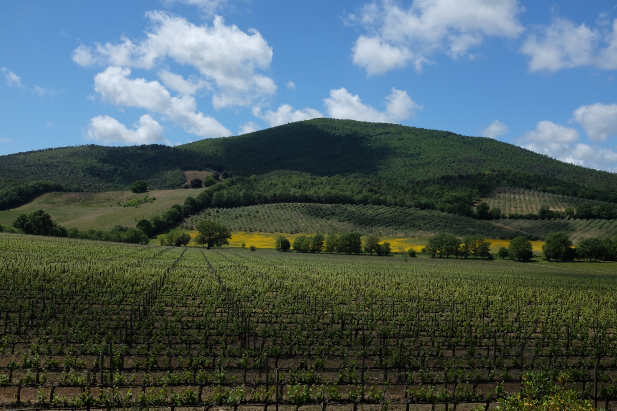 Degustazione presso tenuta Monteti