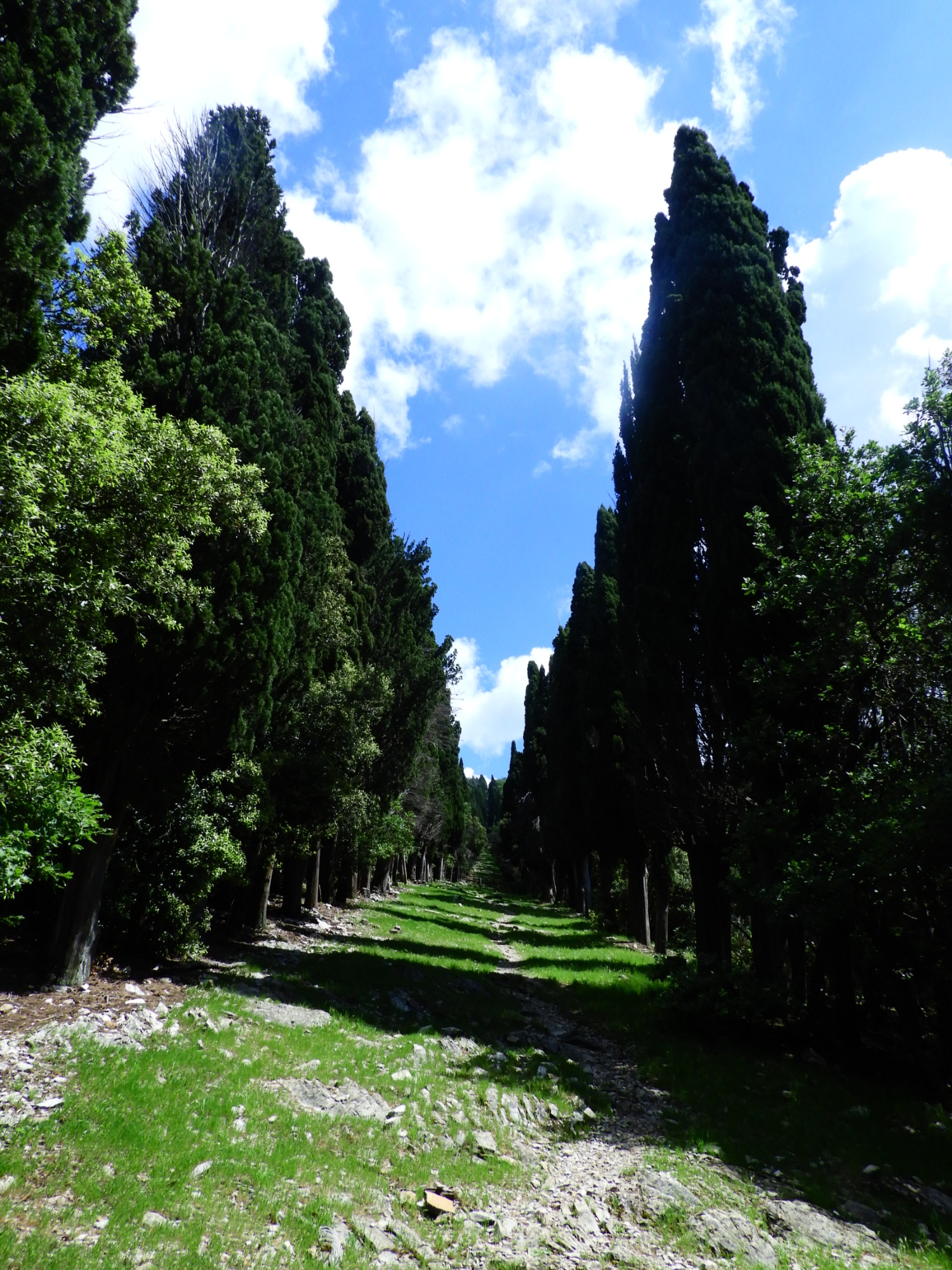 Veduta dal Viottolone Ginori