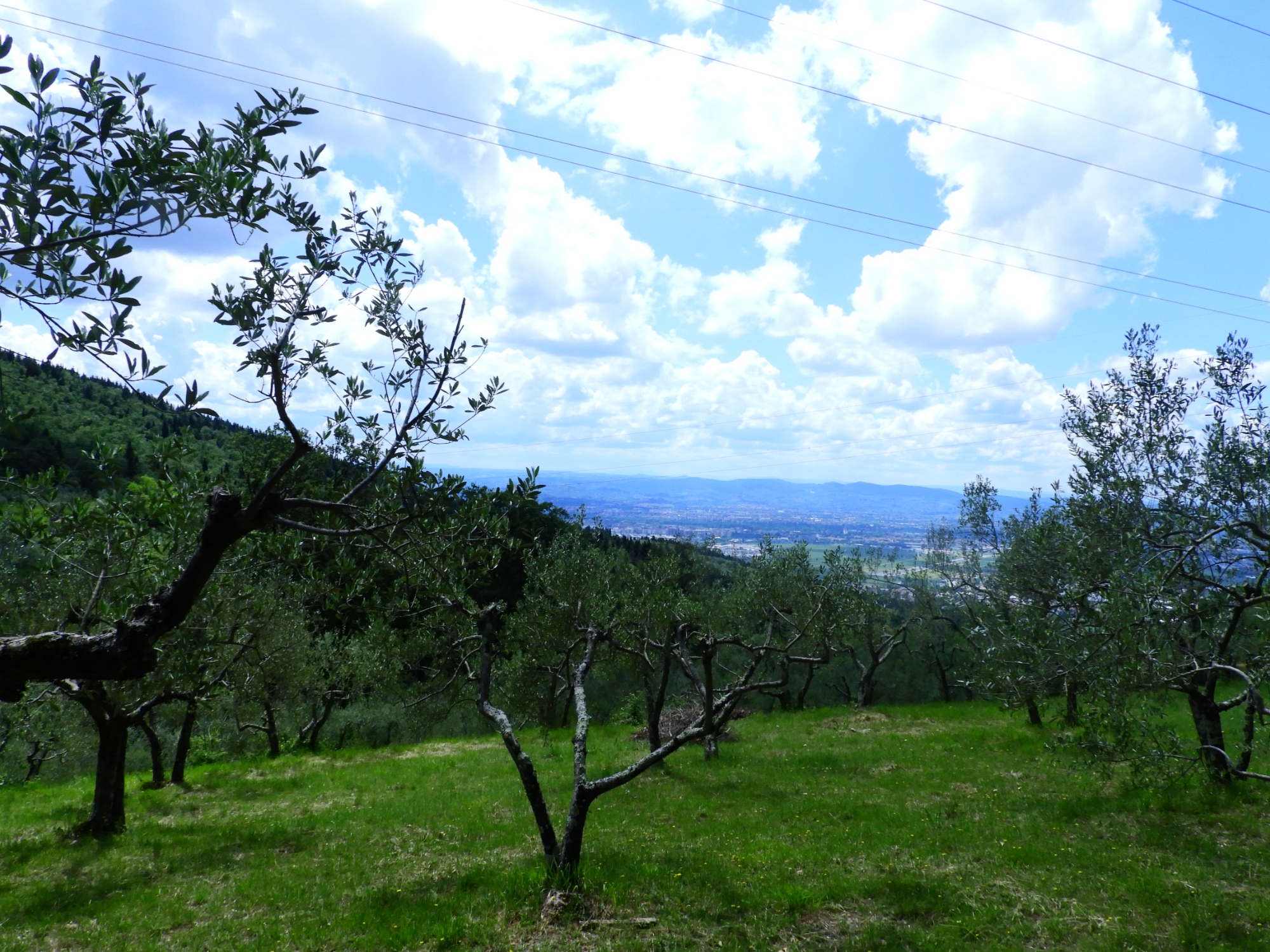 Panorama verso la piana fiorentina