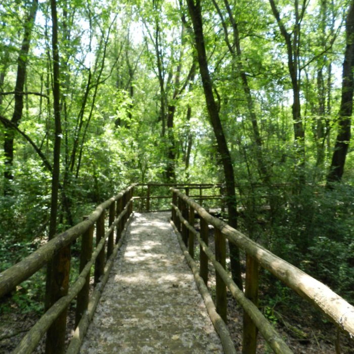 Escursione al Sentiero dei Tre Pini, da San Piero a Grado alla Tenuta di Tombolo Escursione al Sentiero dei Tre Pini, da San Piero a Grado alla Tenuta di Tombolo