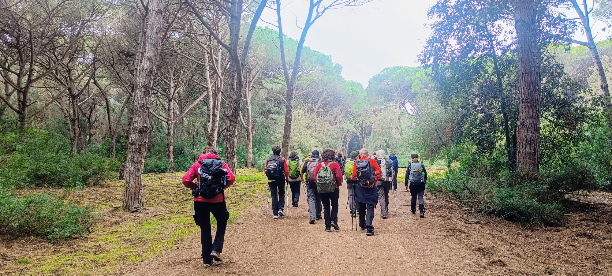Soggiorno con escursione guidata omaggio in Maremma