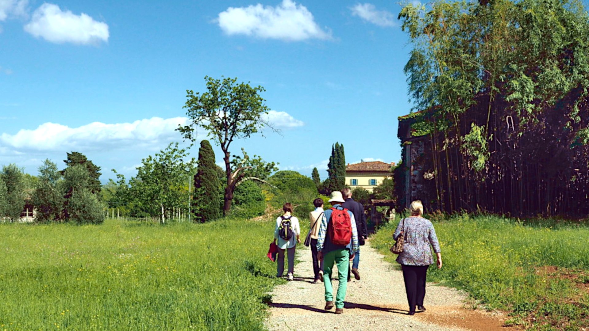 Walking tour outside the city walls of Lucca with tasting in a farm