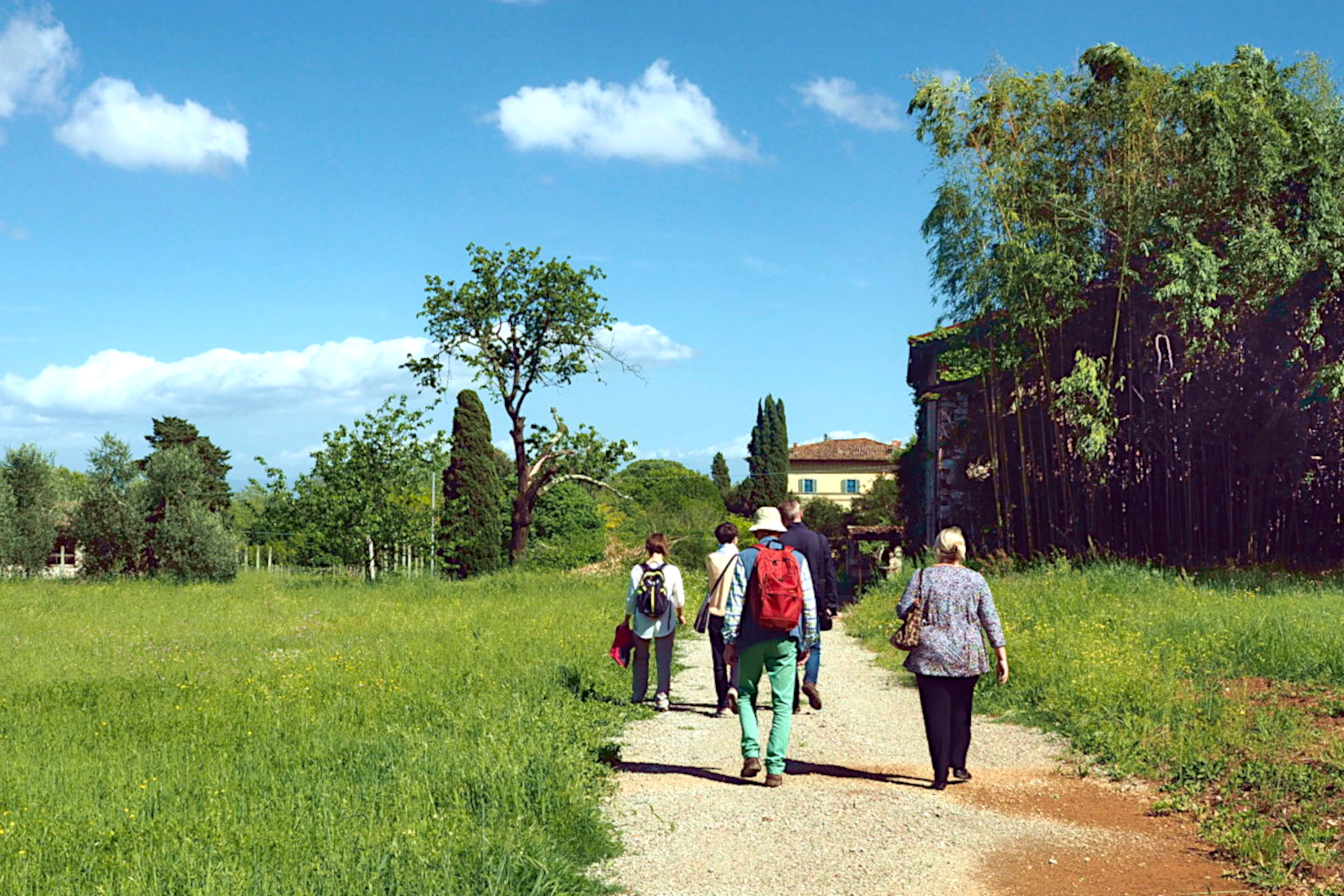 Walking tour outside the city walls of Lucca with tasting in a farm