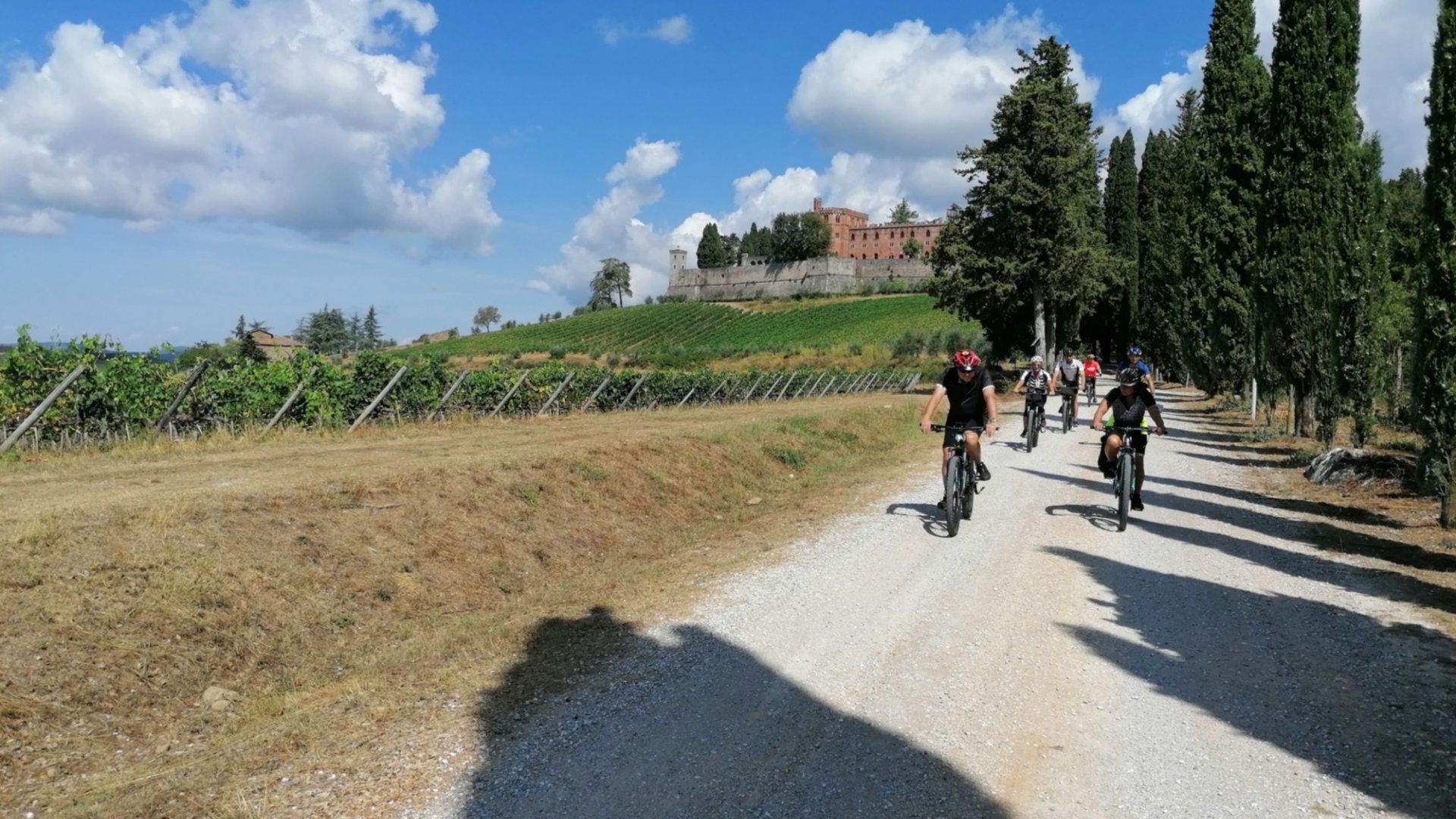 Bike tour of the Eroica, through the Chianti, the Crete Senesi and the Val d'Orcia