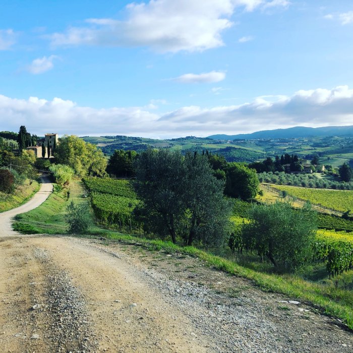 Chianti Classico wine tasting and hiking adventure among the vineyards and olive groves
