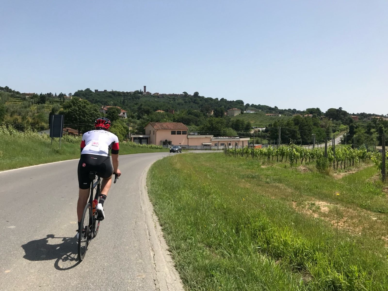 Bike tour through Lucca’s countryside until Montecarlo with wine tasting