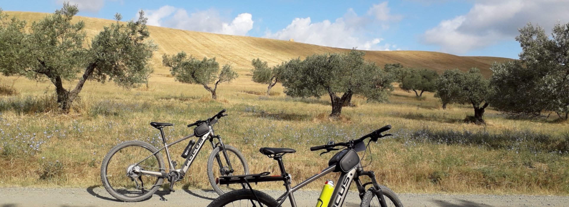 E-bike experience durante il tour nella campagna toscana di Casale Marittimo E-bike experience durante il tour nella campagna toscana di Casale Marittimo