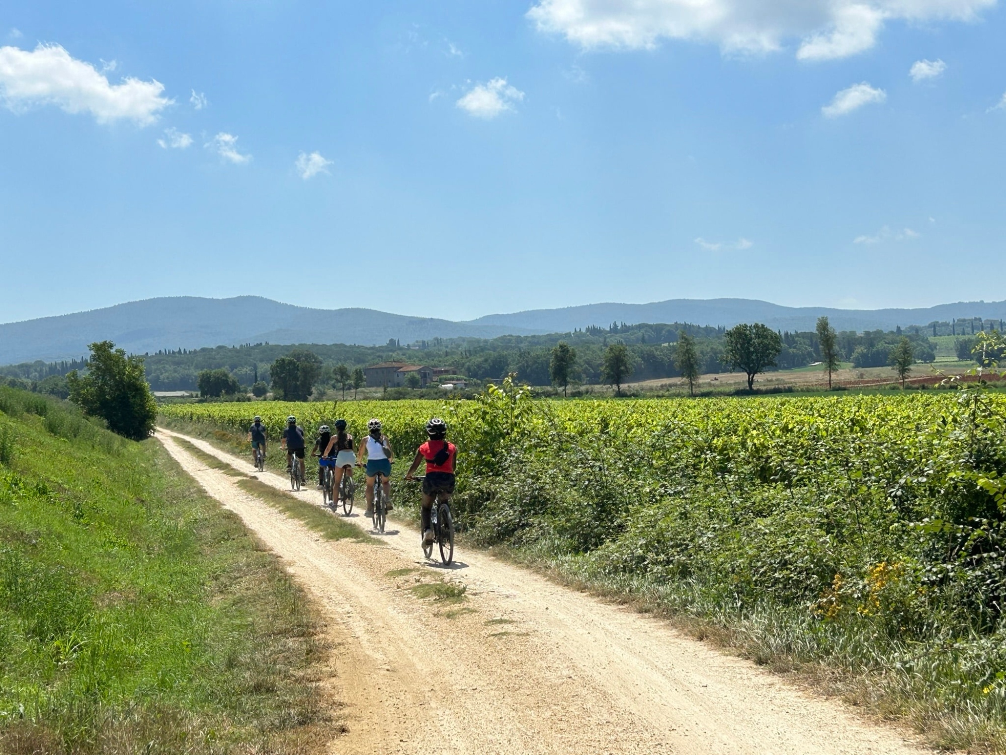E-bike tour around San Gimignano