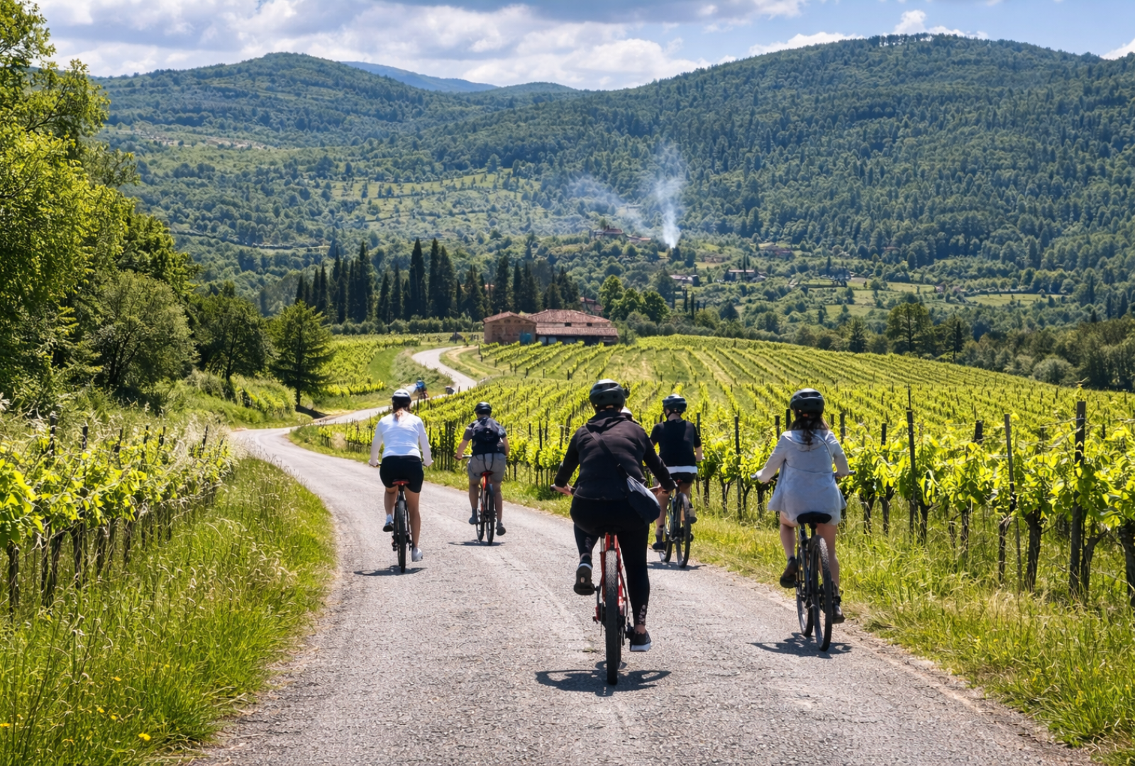 Chianti Rufina e-bike tour self-guided
