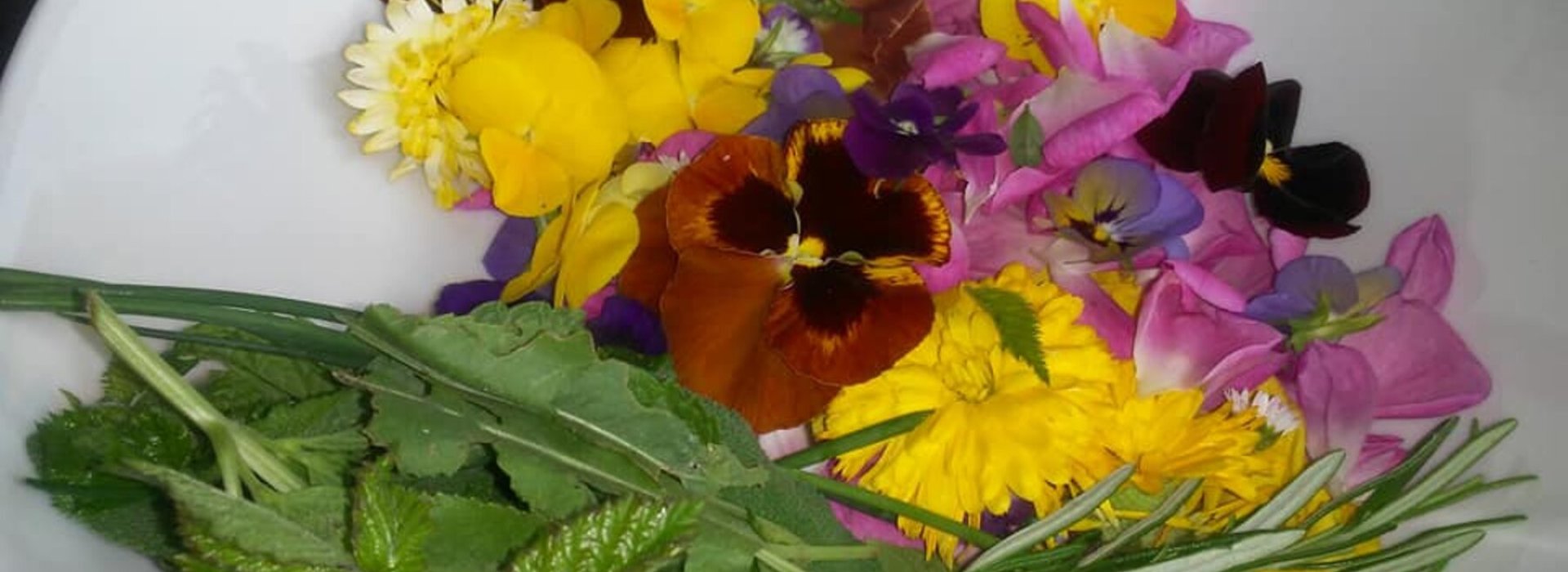erbe-e-fiori.jpg