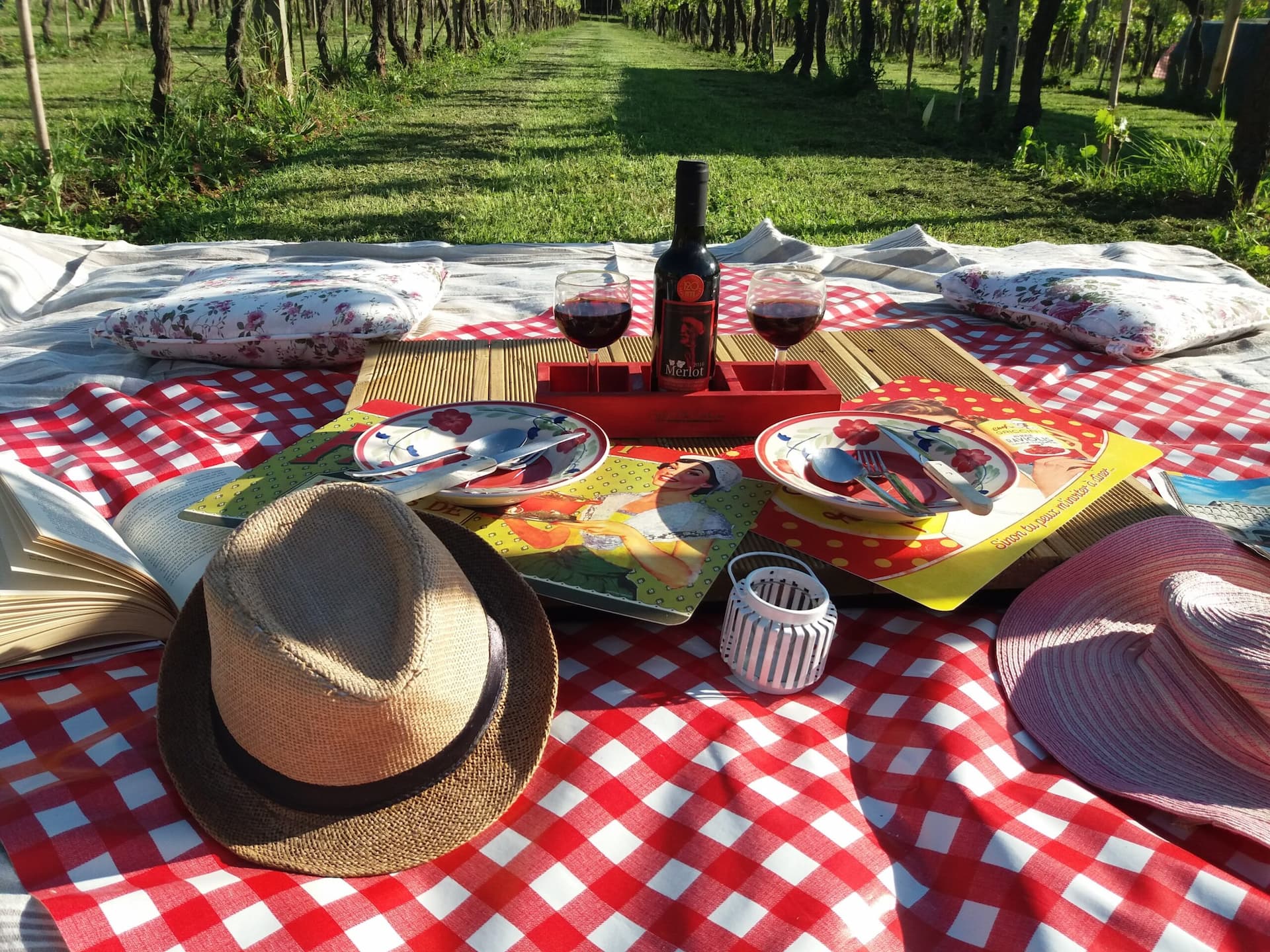 Fiat 500 picnic experience