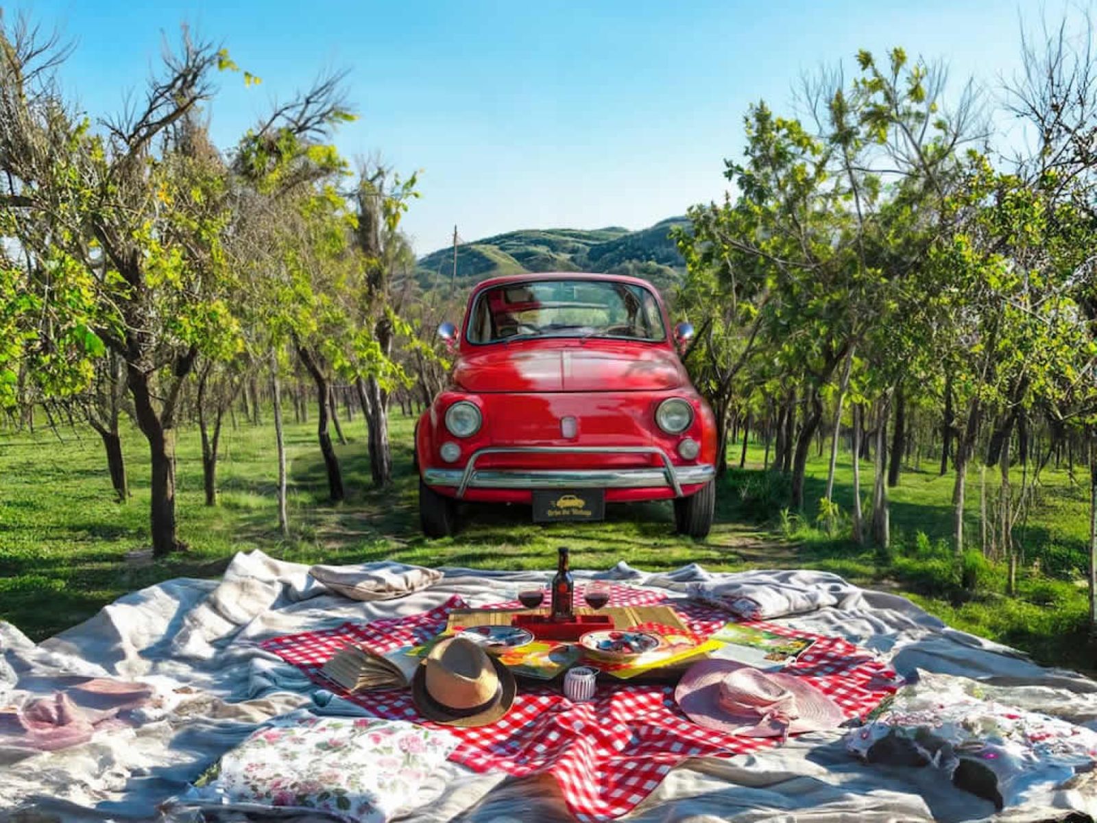 Fiat 500 picnic experience