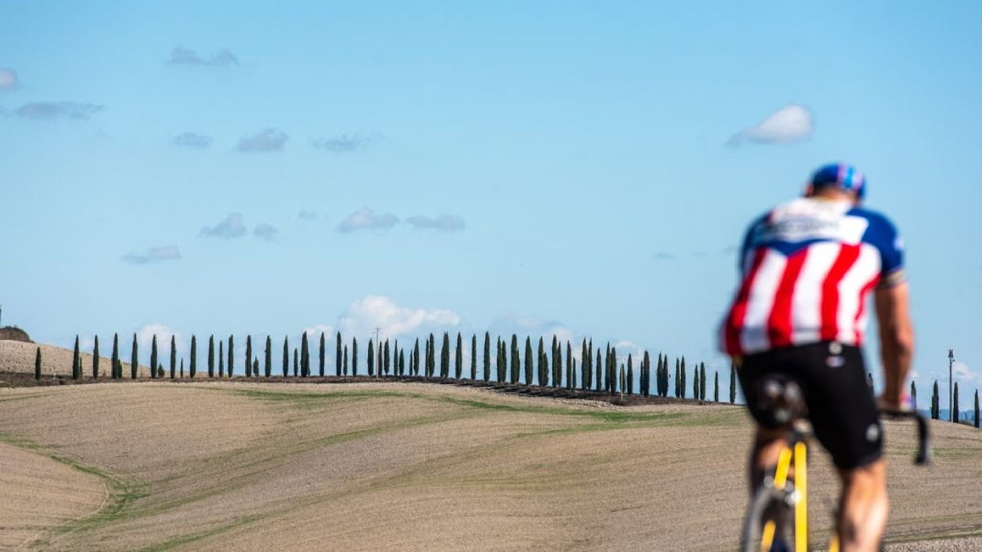 Rows, cypresses and cyclist Eroica