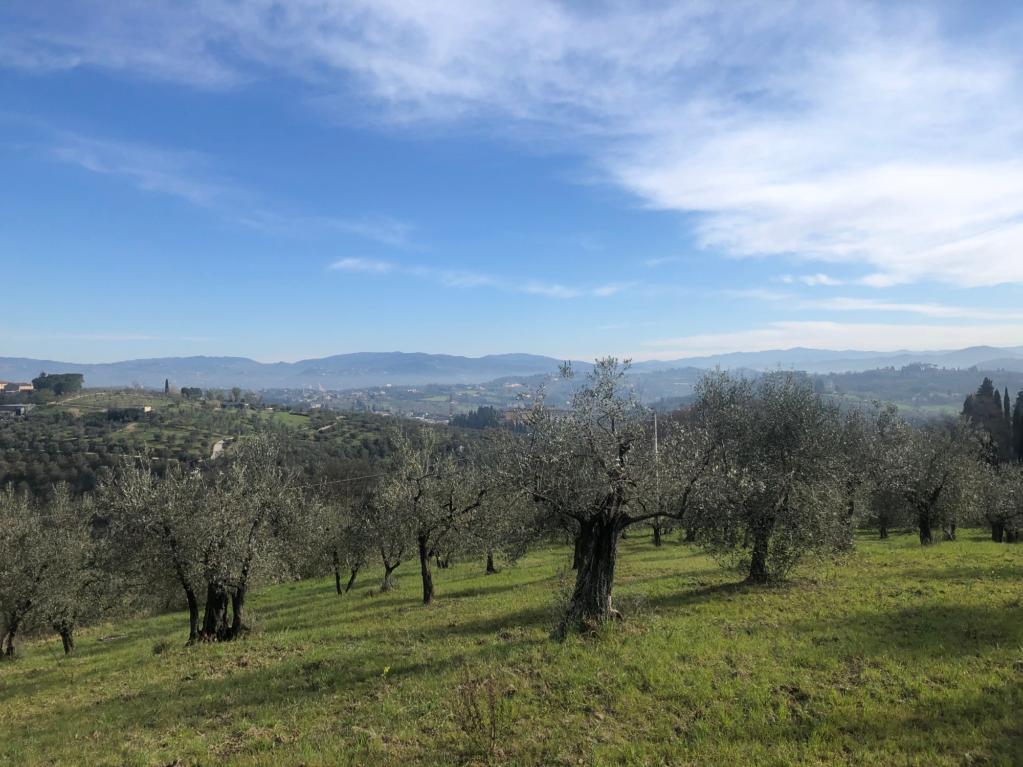 Le colline del Chianti Fiorentino