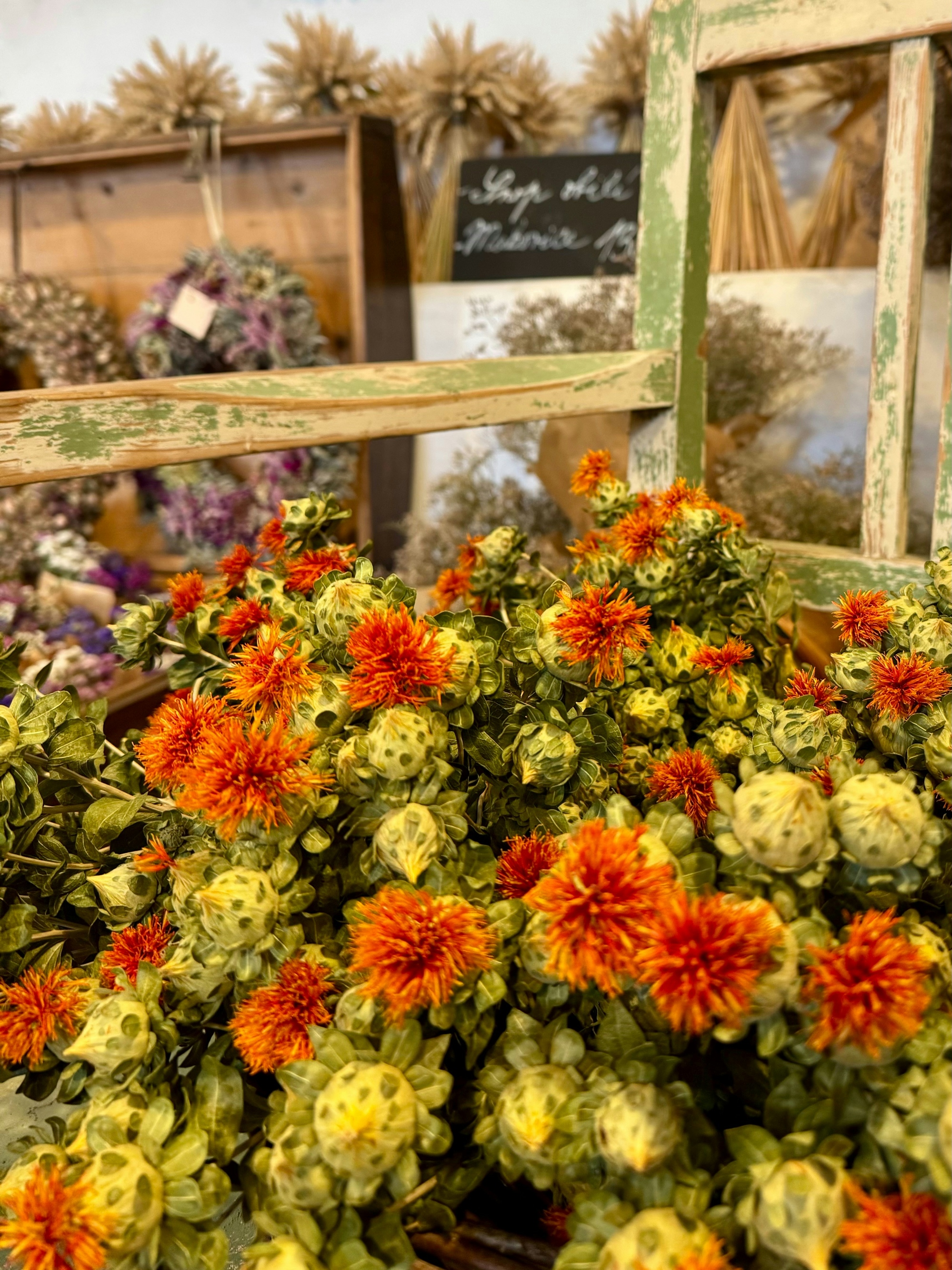 Seasonal flowers for the floral design workshop – Slow Living Tuscany