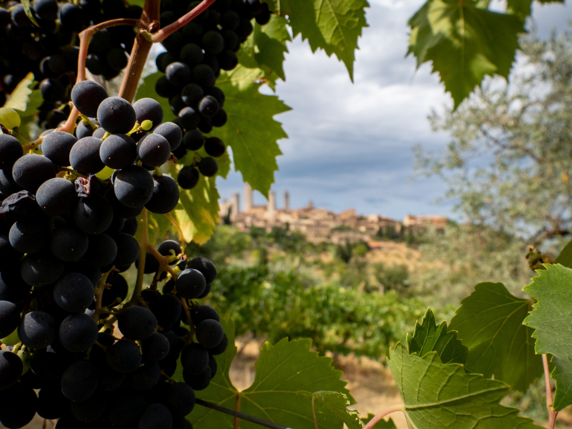Three days relaxing getaway in Chianti